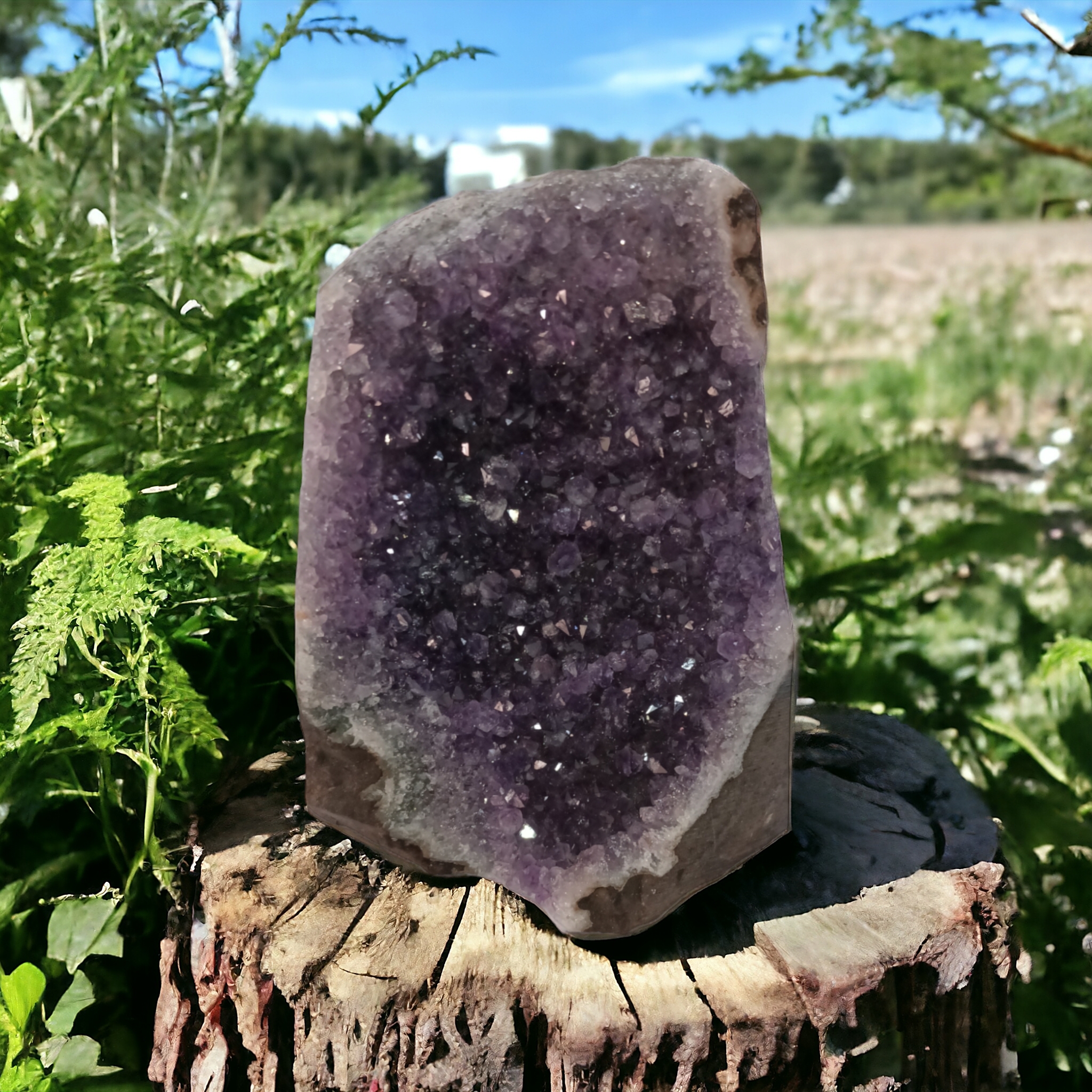 Amethyst Cluster Geode For Meditation Brand : Rocksmins