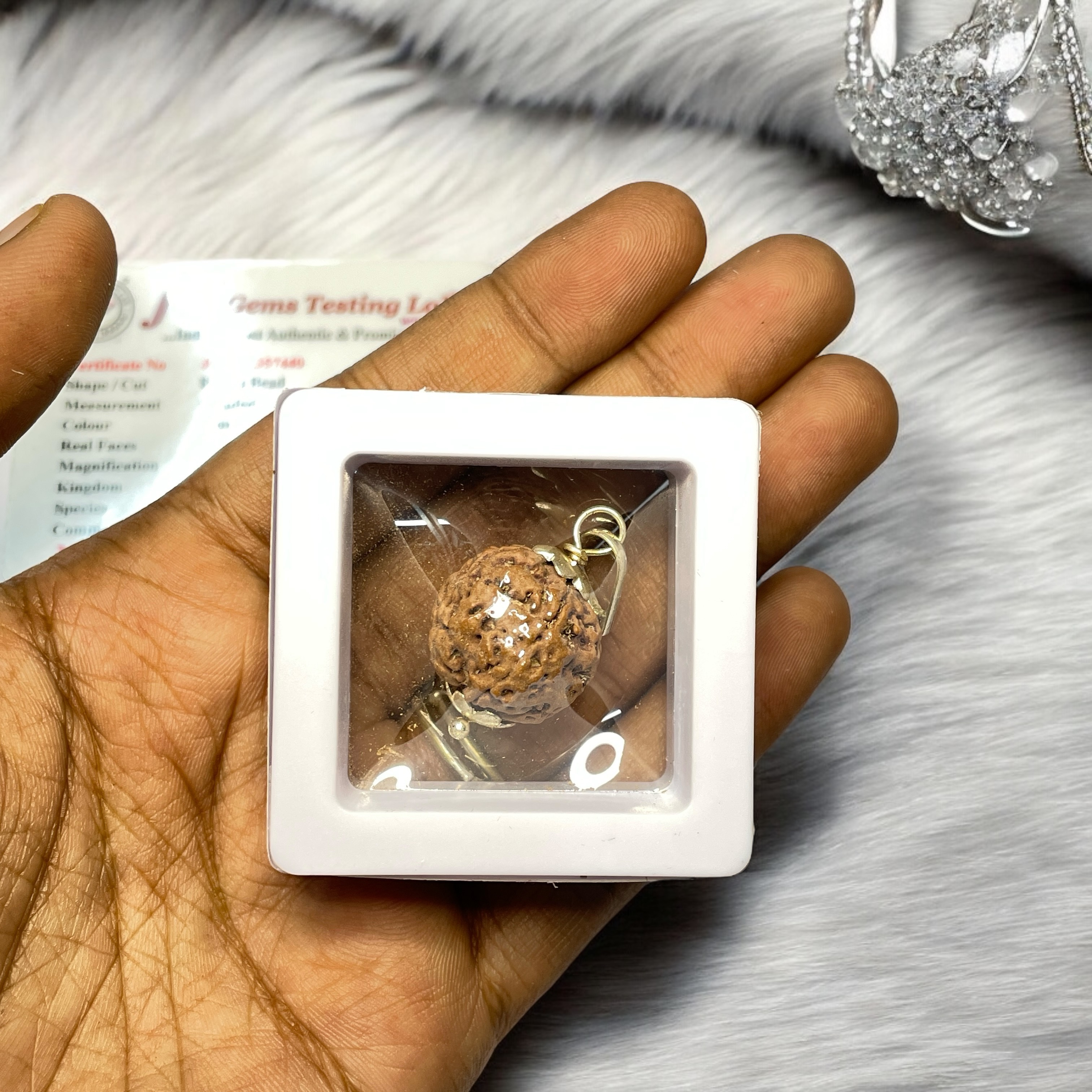 5 Mukhi Rudraksha Pendant for Wearing in Neck Pooja, Astrology/Men Women Boys Girls Meditation, Balance, Protection and Divine Energy Brand : @Rocksmins