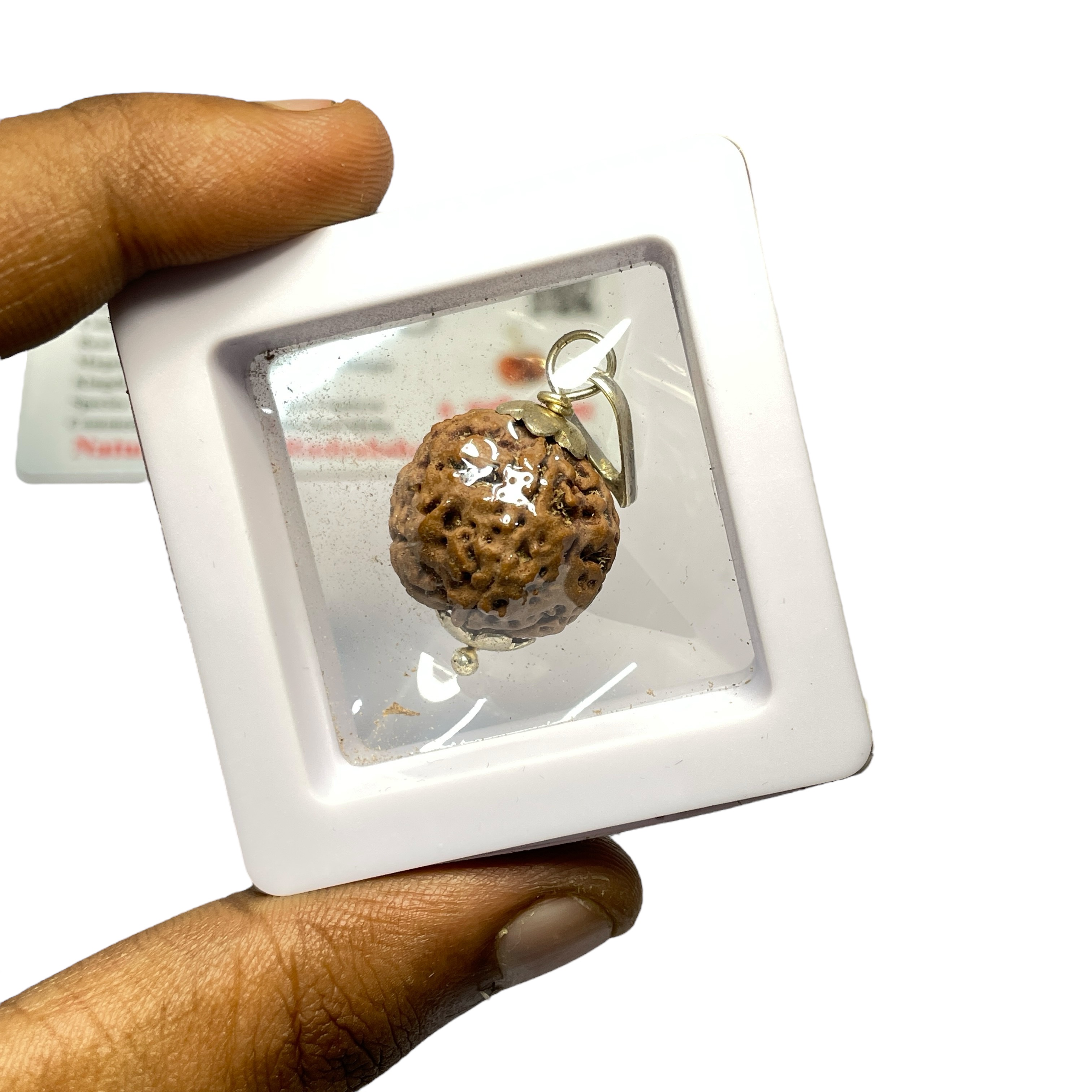 5 Mukhi Rudraksha Pendant for Wearing in Neck Pooja, Astrology/Men Women Boys Girls Meditation, Balance, Protection and Divine Energy Brand : @Rocksmins