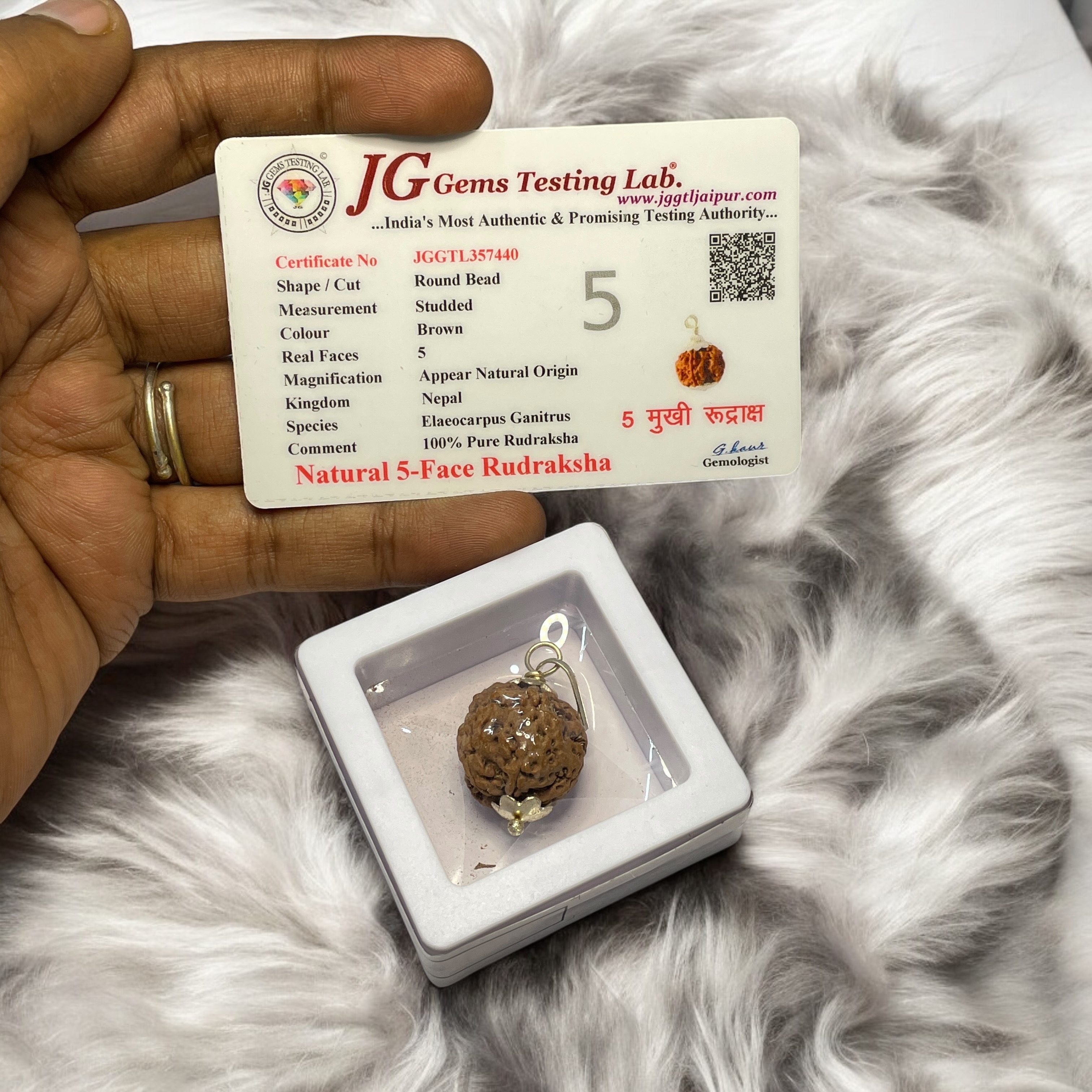 5-mukhi-rudraksha-pendant-for-wearing-in-neck-pooja-astrologymen-women-boys-girls-meditation-balance-protection-and-divine-energy-brand--rocksmins