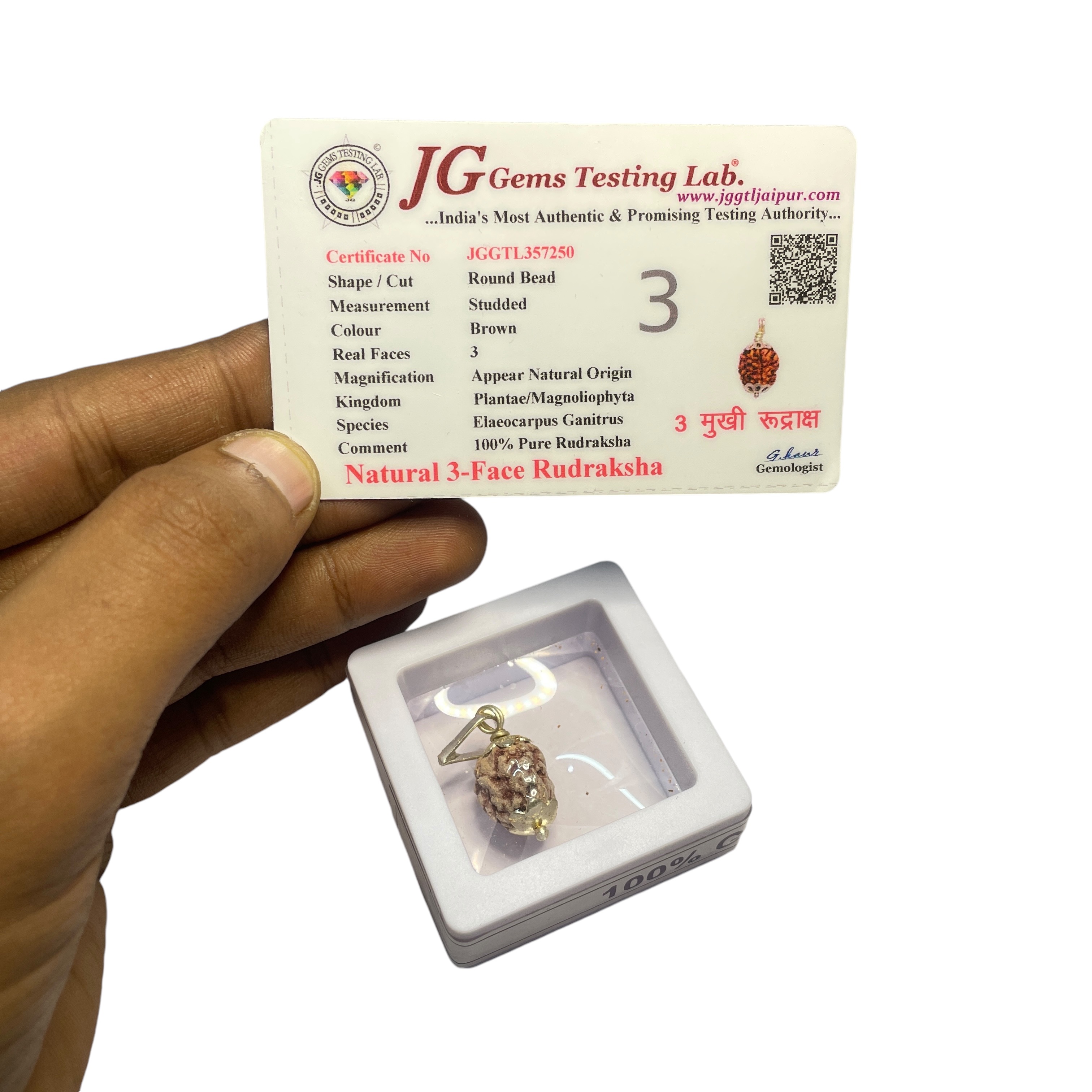 3 Mukhi Rudraksha Pendant for Wearing in Neck Pooja, Astrology/Men Women Boys Girls Meditation, Balance, Protection and Divine Energy Brand : @Rocksmins