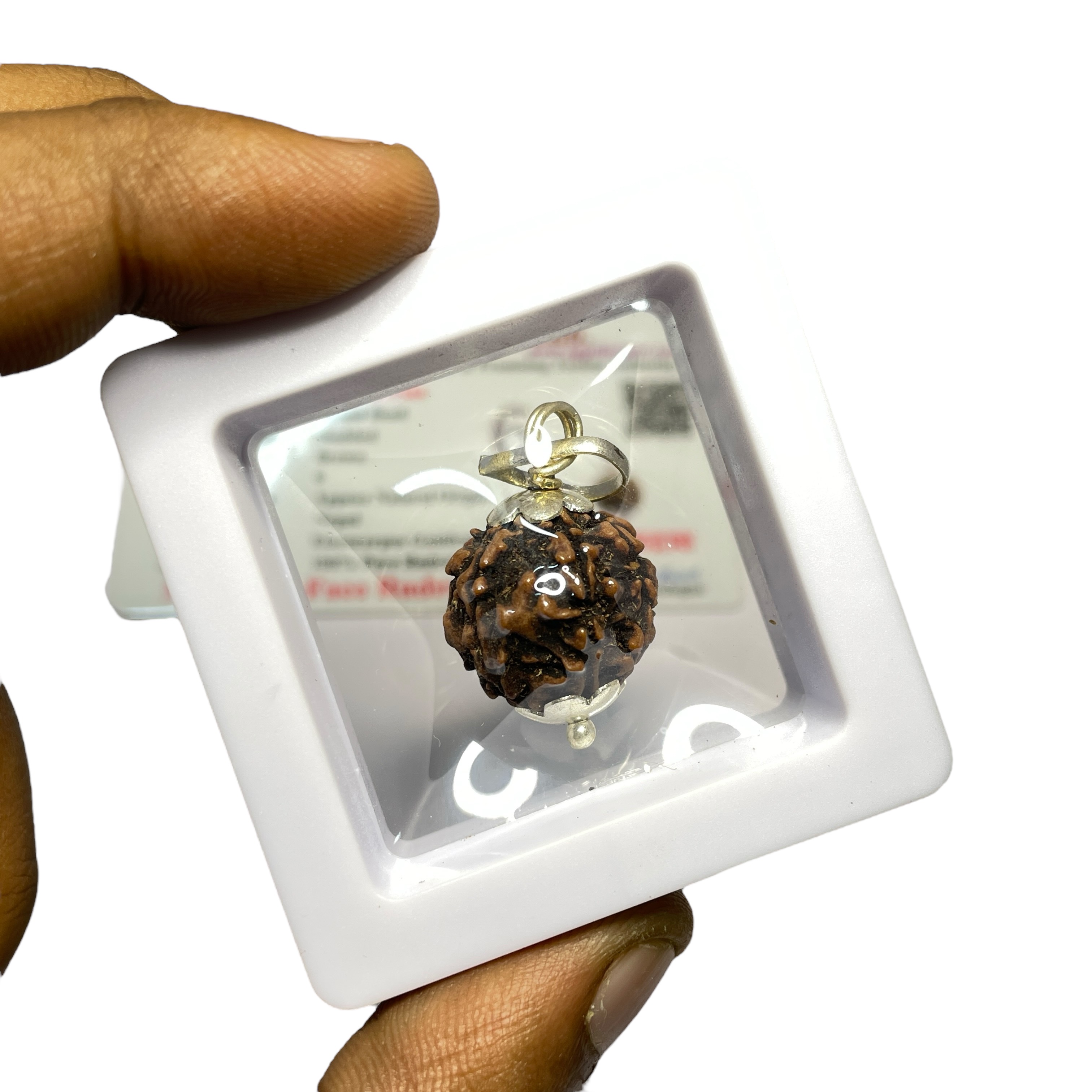 6 Mukhi Rudraksha Pendant for Wearing in Neck Pooja, Astrology/Men Women Boys Girls Meditation, Balance, Protection and Divine Energy Brand : @Rocksmins