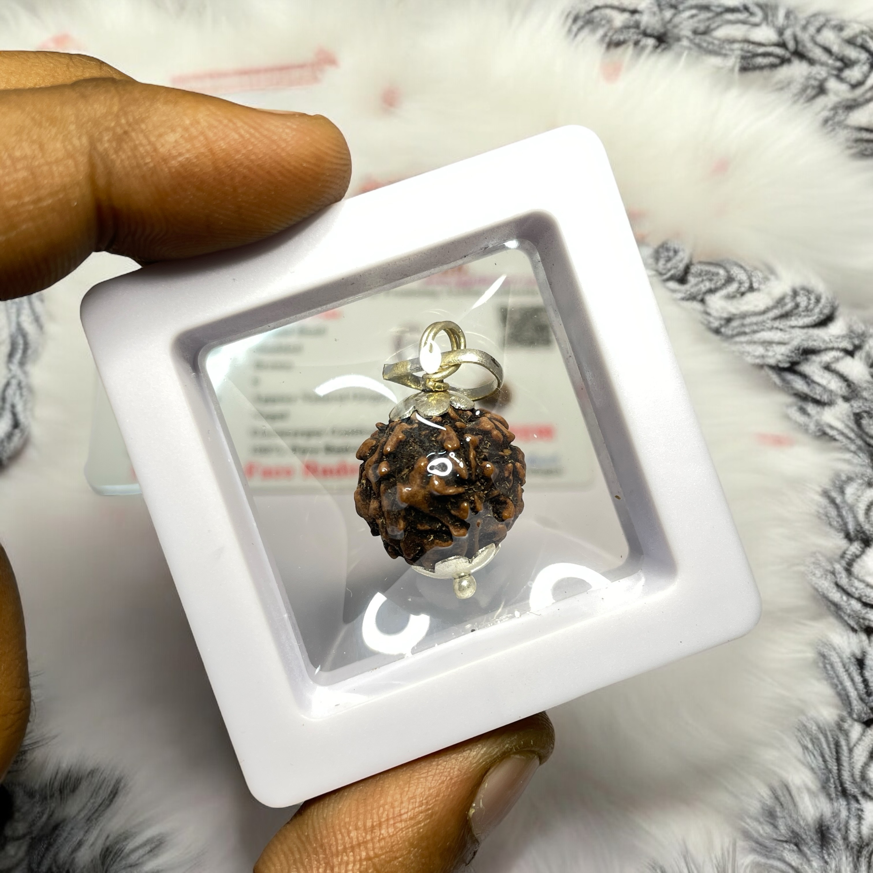 6 Mukhi Rudraksha Pendant for Wearing in Neck Pooja, Astrology/Men Women Boys Girls Meditation, Balance, Protection and Divine Energy Brand : @Rocksmins