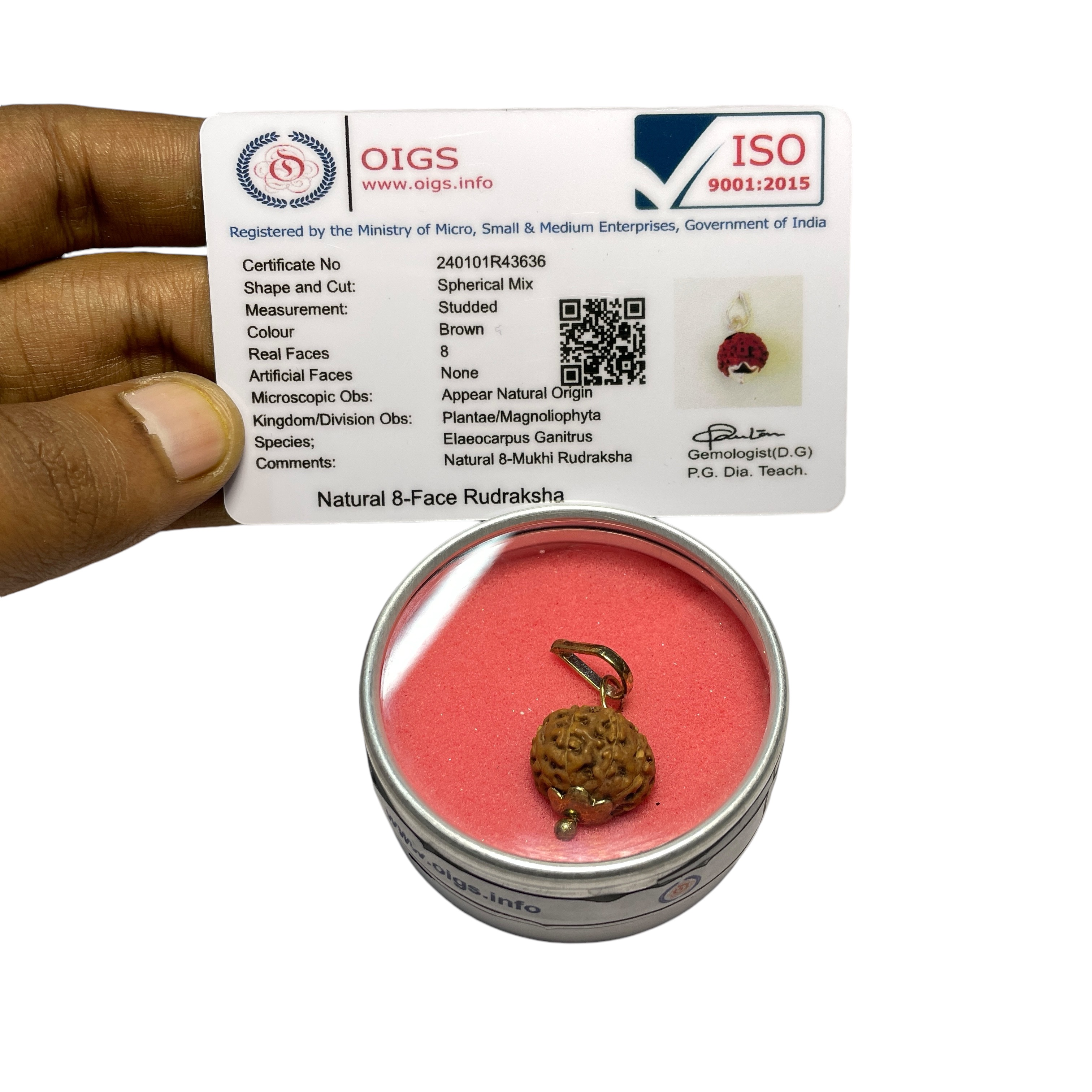 8 Mukhi Rudraksha Pendant for Wearing in Neck Pooja, Astrology/Men Women Boys Girls Meditation, Balance, Protection and Divine Energy Brand : @Rocksmins