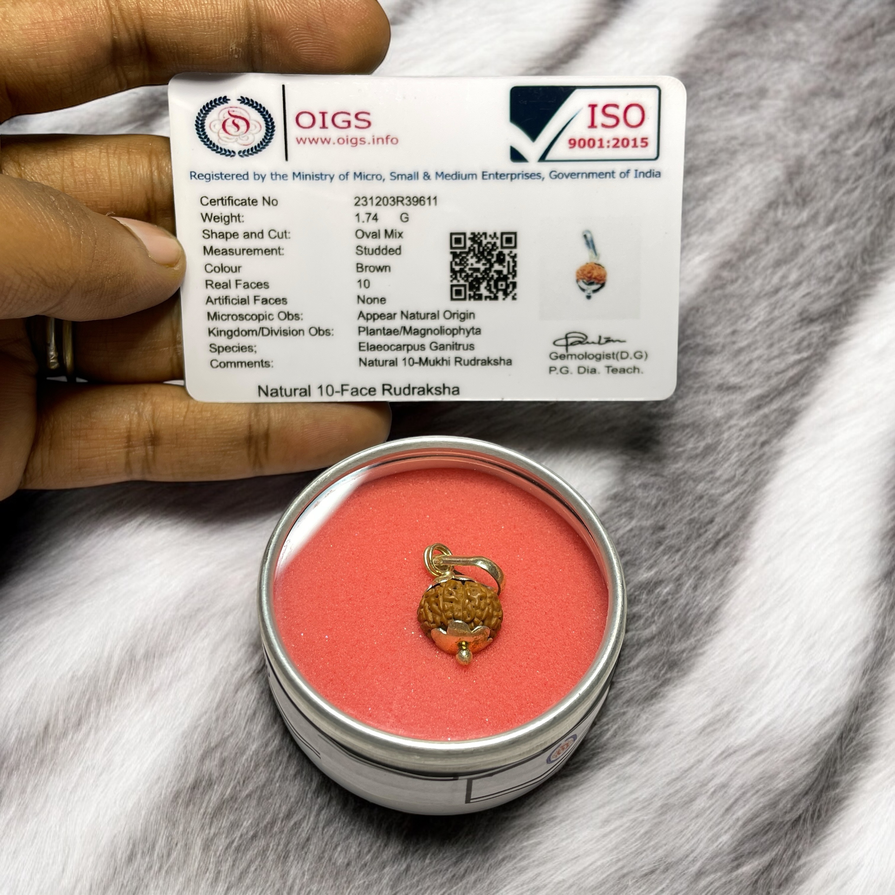 10 Mukhi Rudraksha Pendant for Wearing in Neck Pooja, Astrology/Men Women Boys Girls Meditation, Balance, Protection and Divine Energy Brand : @Rocksmins