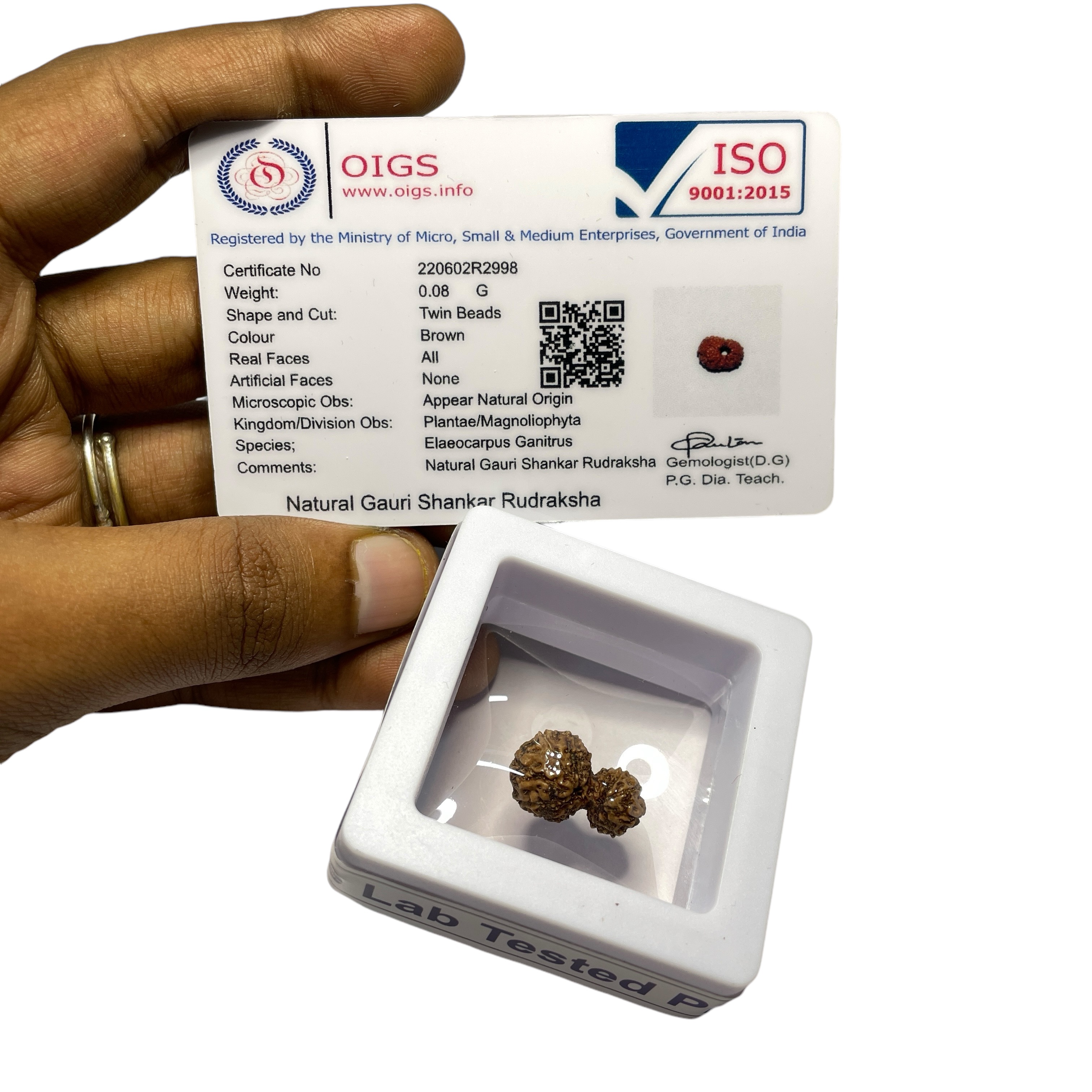 Gauri Shankar Rudraksha for Wearing in Neck Pooja, Astrology/Men Women Boys Girls Meditation, Balance, Protection and Divine Energy Brand : @Rocksmins