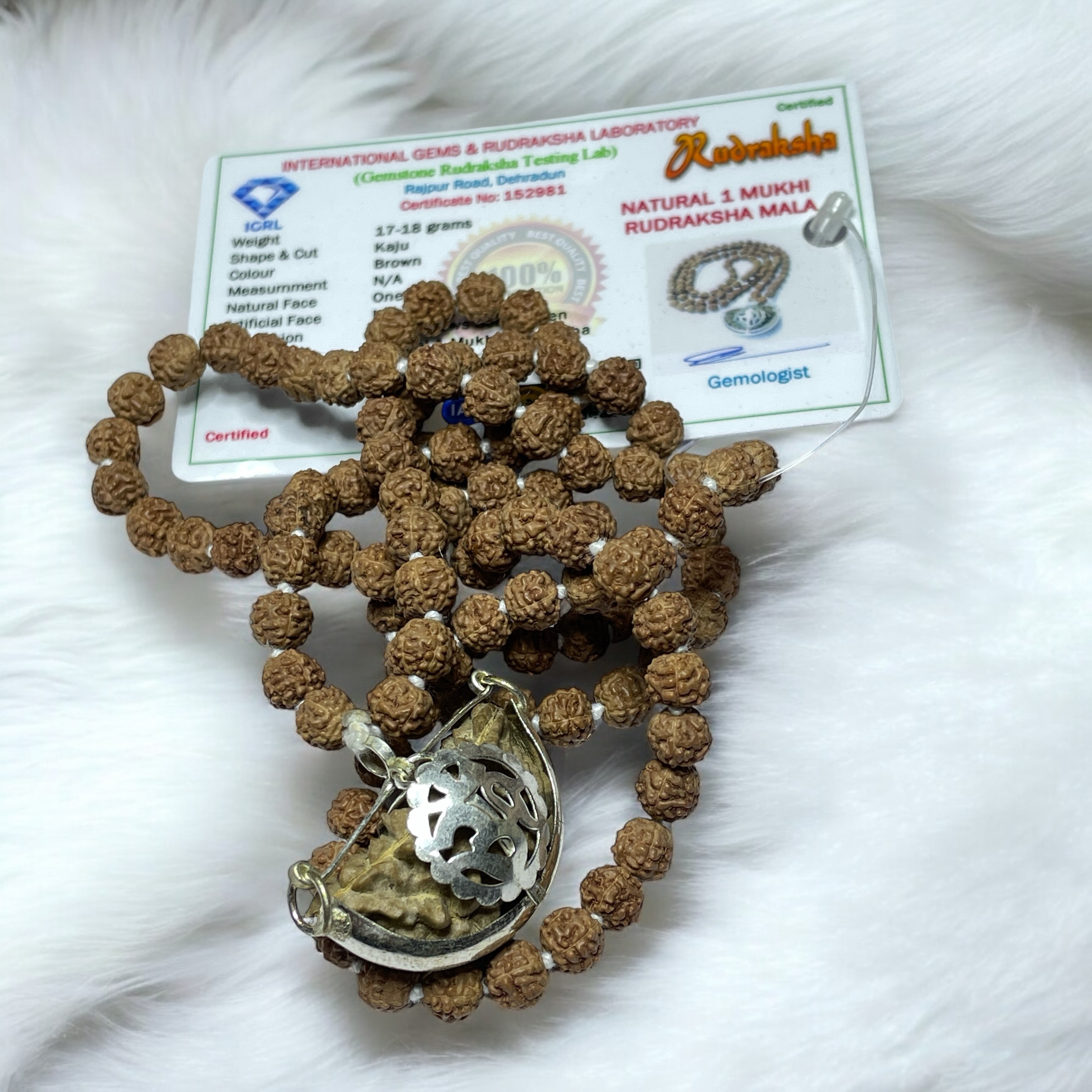 6MM Natural Original 1 Mukhi Rudraksha Jaap Mala Original with Certificate (108) 6mm Beads for Pooja Astrology Wearing in Neck/Holding for Men Women Boys Girls Meditation & Protection