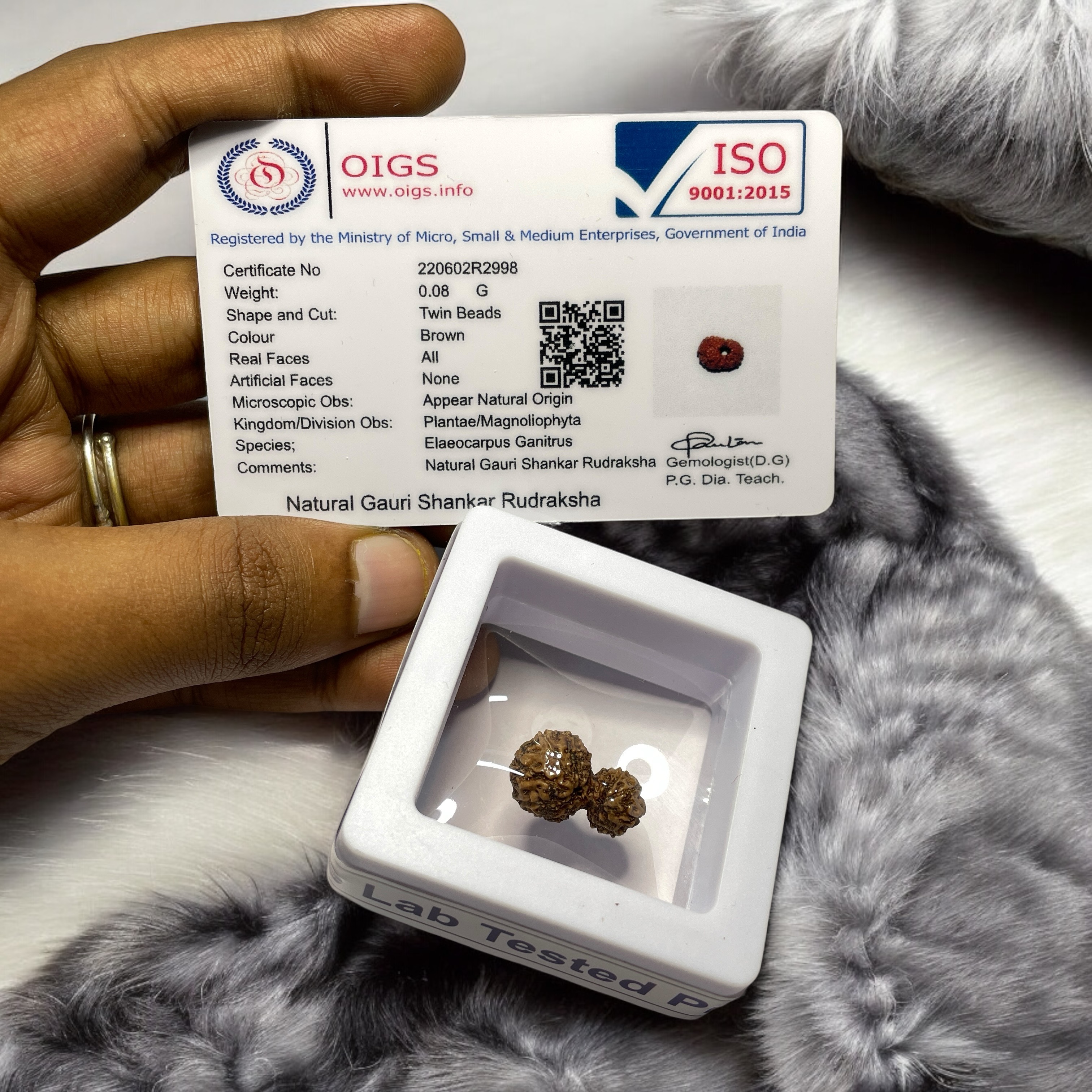 Gauri Shankar Rudraksha for Wearing in Neck Pooja, Astrology/Men Women Boys Girls Meditation, Balance, Protection and Divine Energy Brand : @Rocksmins