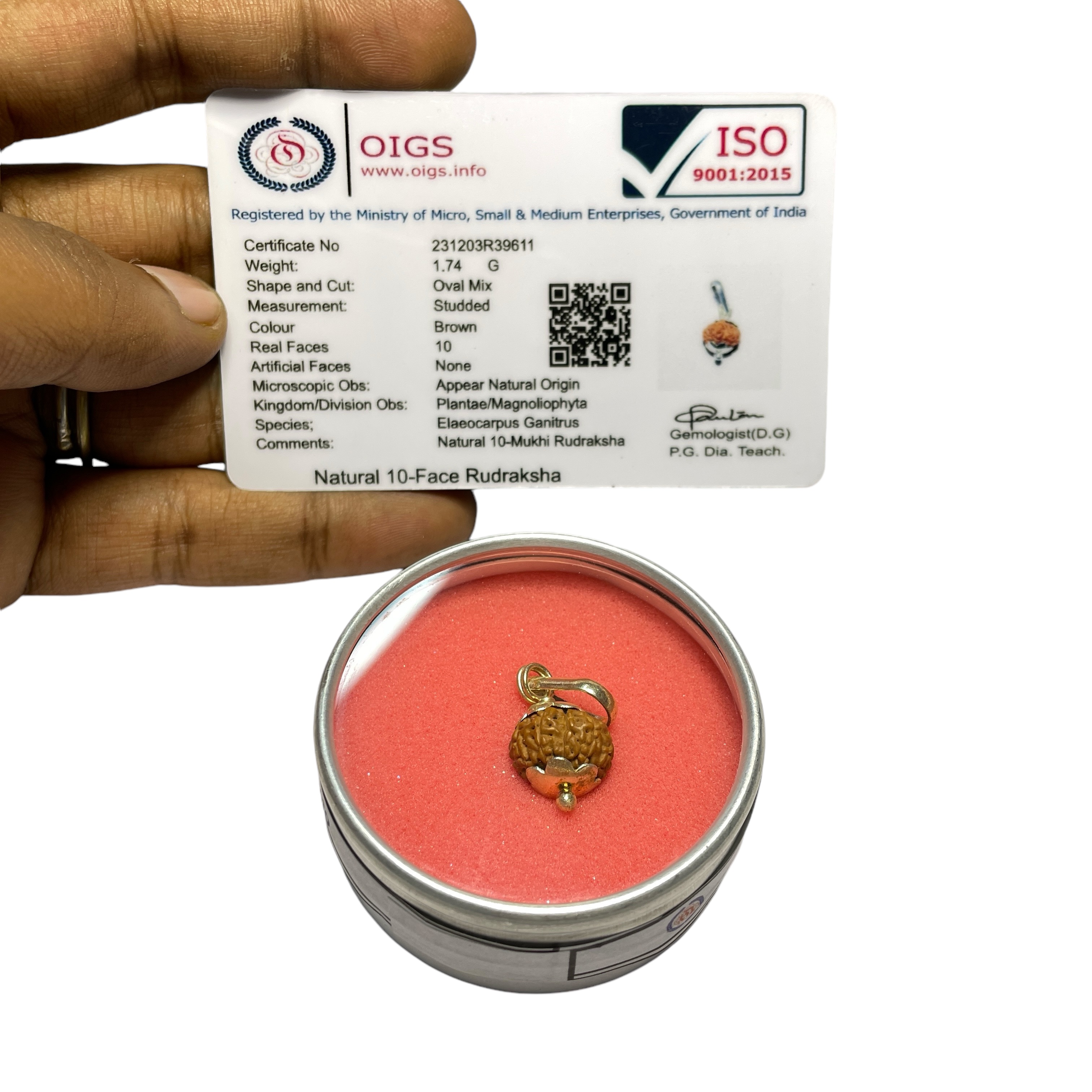 10 Mukhi Rudraksha Pendant for Wearing in Neck Pooja, Astrology/Men Women Boys Girls Meditation, Balance, Protection and Divine Energy Brand : @Rocksmins