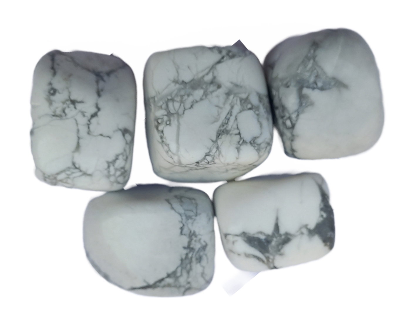 Howlite Palm Stone For Healing And Meditation (Polished) Brand : Rocksmins