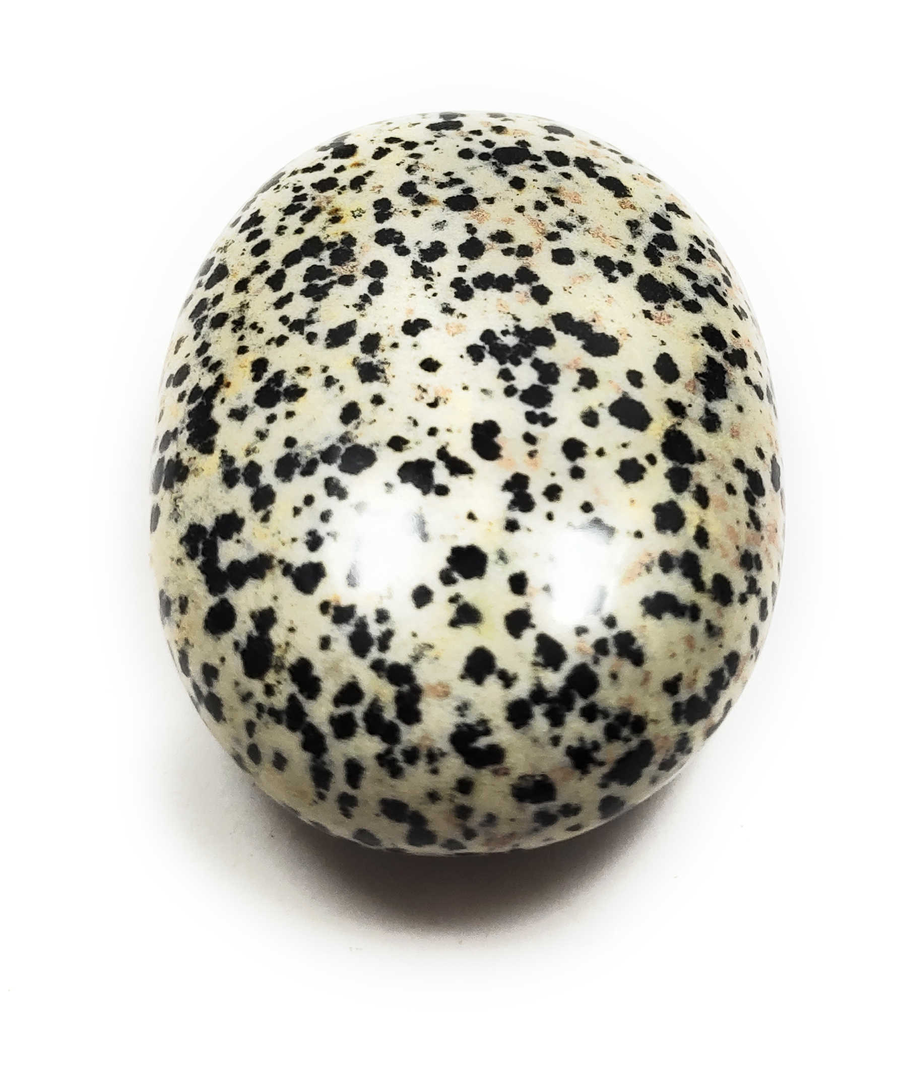 dalmetion-palm-stone-for-healing-and-meditation-polished-brand--rocksmins