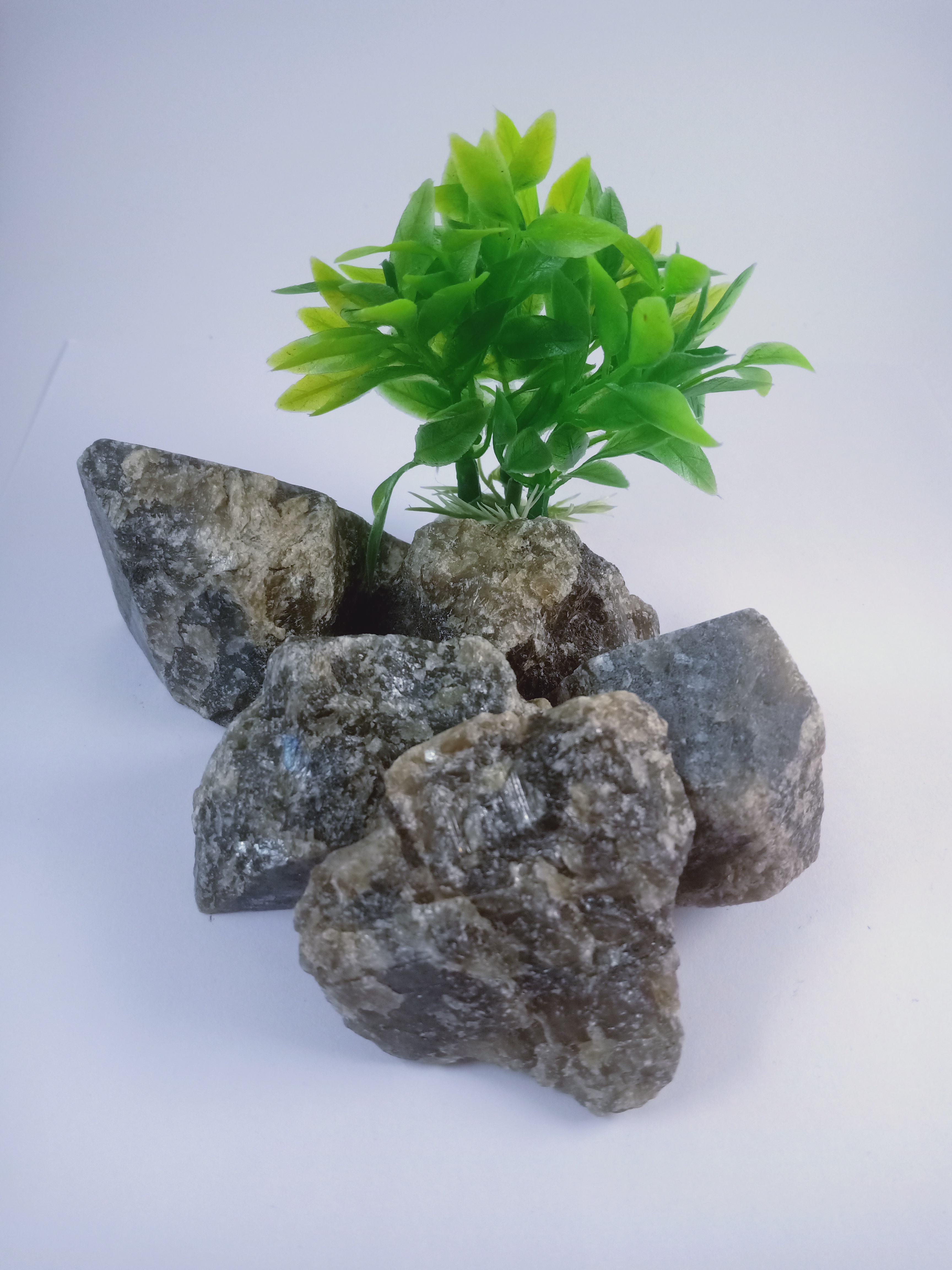 Labradorite Natural Rough Stone 100gm+ For Reiki, Healing Aura Cleaning, Tumbling, Vastu, Meditation, Gardening, Decoration & Remove Negative Energy (Raw)   Brand : Rocksmins