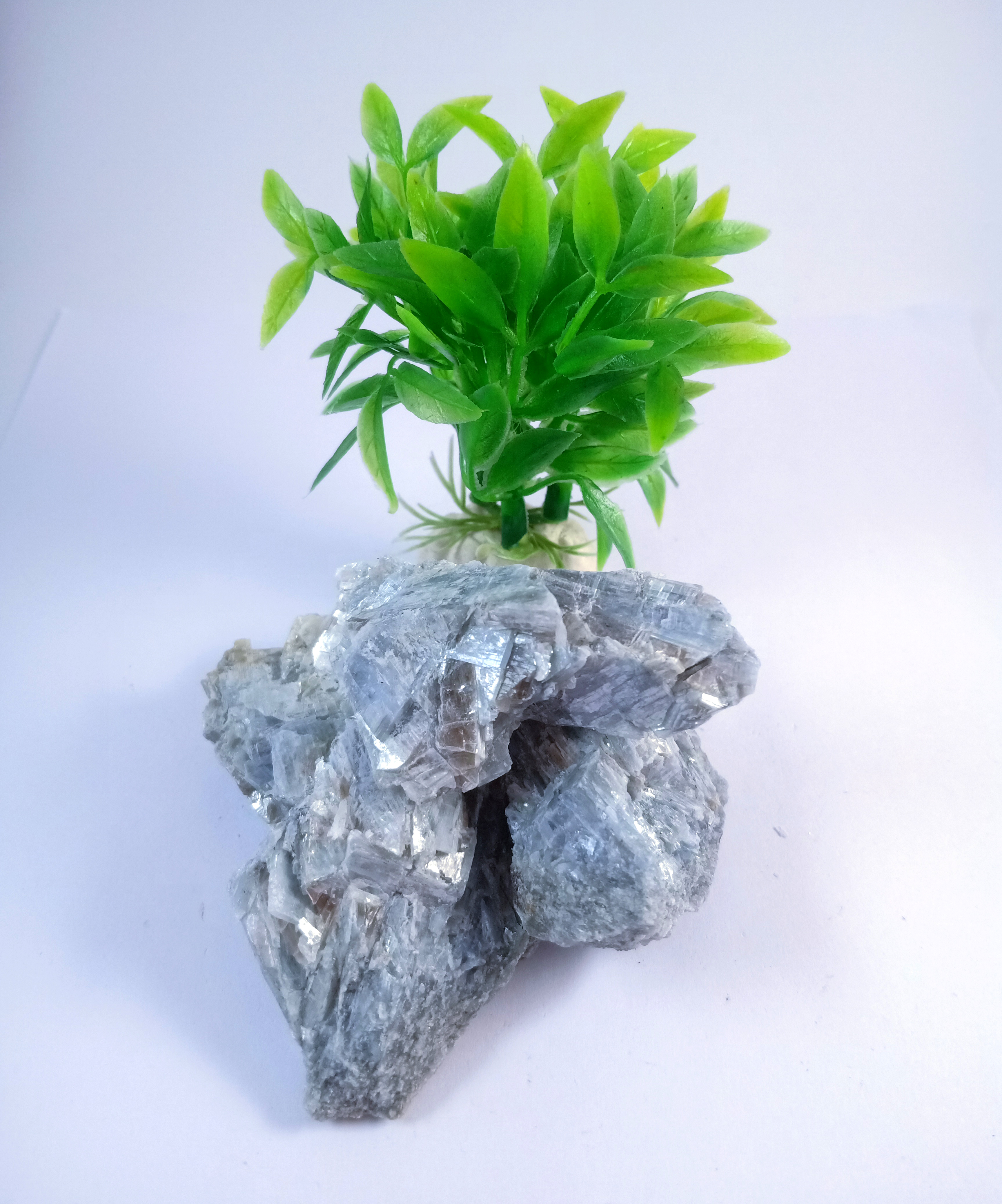 Kyanite Natural Rough Stone 100gm+ For Reiki, Healing Aura Cleaning, Tumbling, Vastu, Meditation, Gardening, Decoration & Remove Negative Energy (Raw)   Brand : Rocksmins