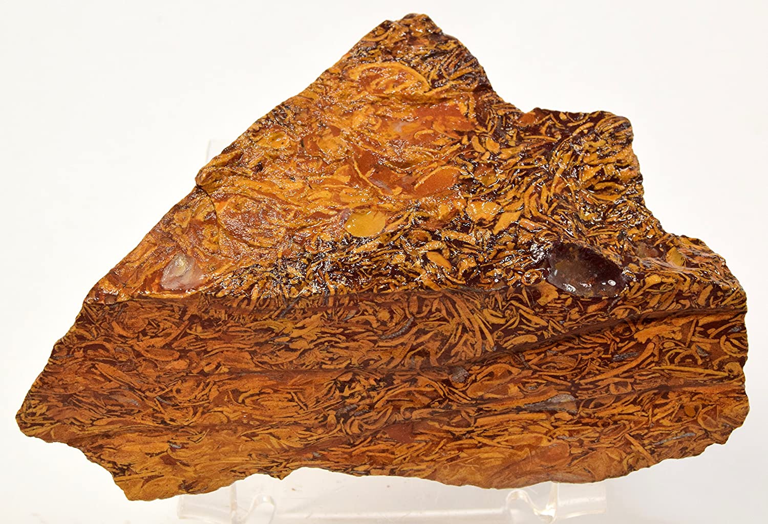 Mariam Jasper Natural Rough Stone 100gm+ For Reiki, Healing Aura Cleaning, Tumbling, Vastu, Meditation, Gardening, Decoration & Remove Negative Energy (Raw)   Brand : Rocksmins