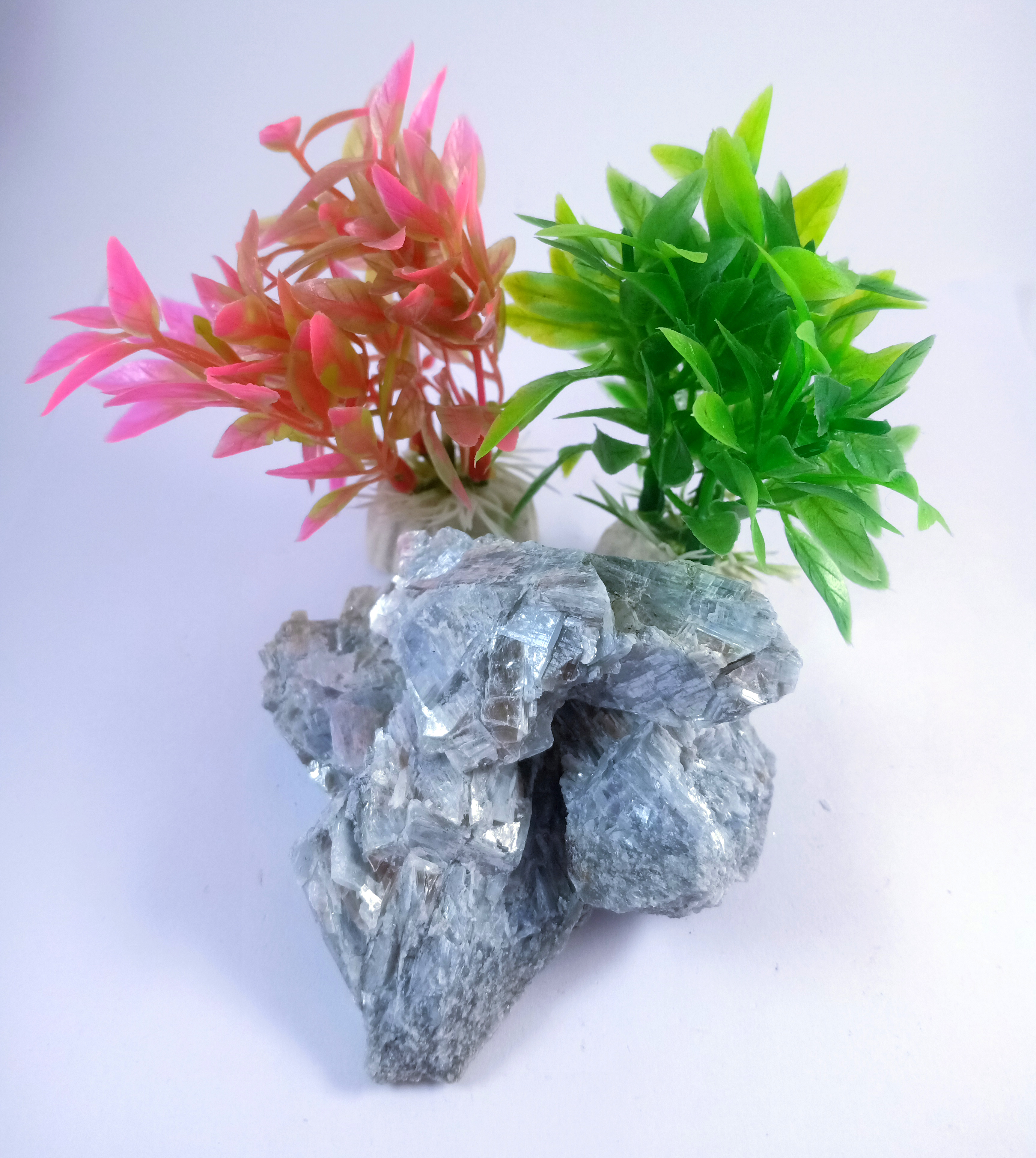 Kyanite Natural Rough Stone 100gm+ For Reiki, Healing Aura Cleaning, Tumbling, Vastu, Meditation, Gardening, Decoration & Remove Negative Energy (Raw)   Brand : Rocksmins