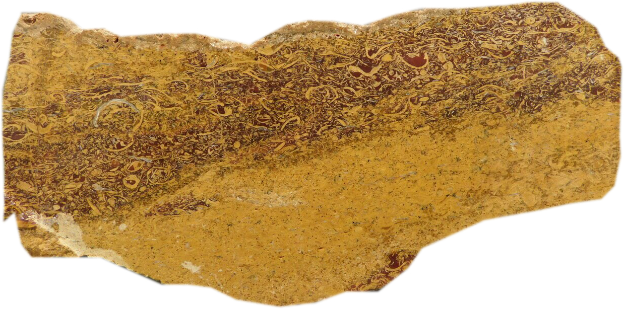 Mariam Jasper Natural Rough Stone 100gm+ For Reiki, Healing Aura Cleaning, Tumbling, Vastu, Meditation, Gardening, Decoration & Remove Negative Energy (Raw)   Brand : Rocksmins