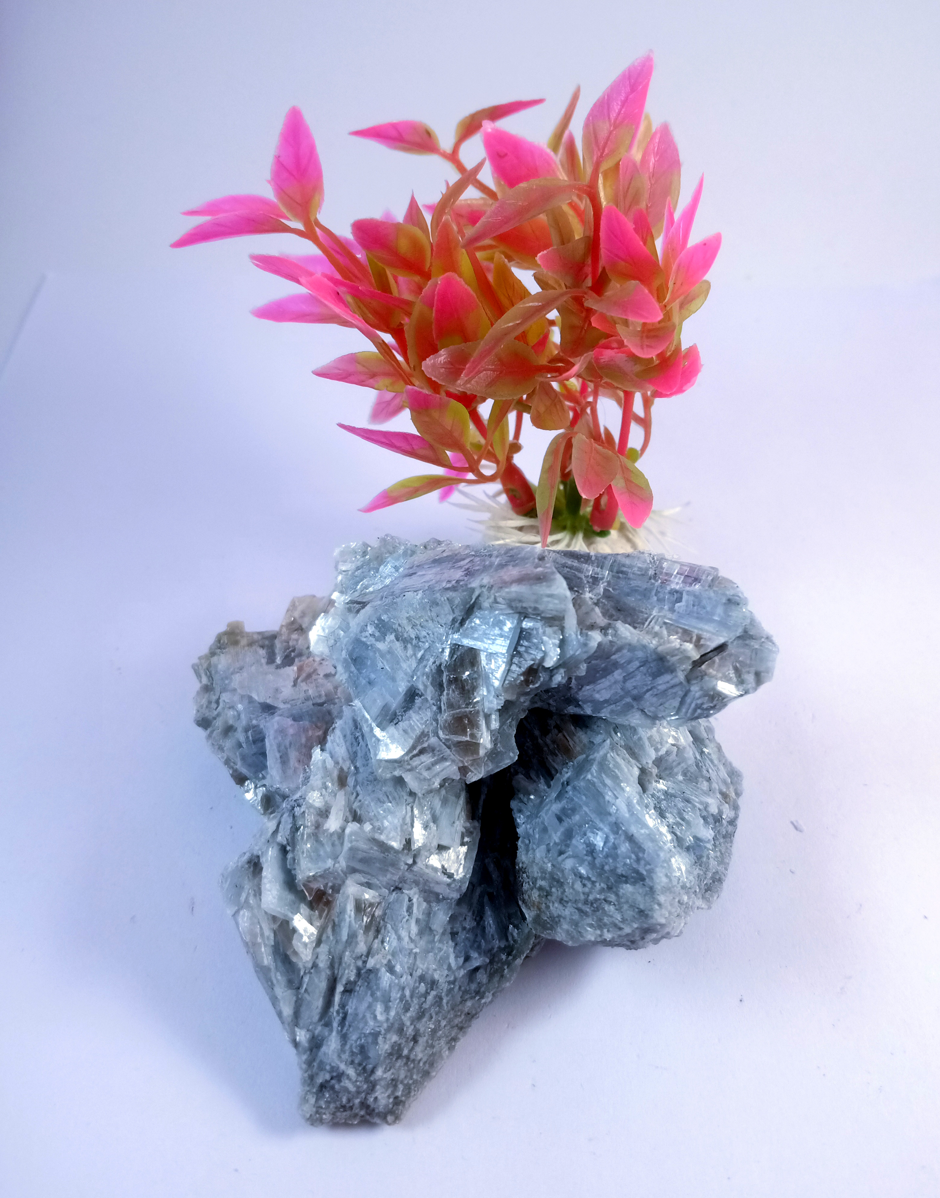 Kyanite Natural Rough Stone 100gm+ For Reiki, Healing Aura Cleaning, Tumbling, Vastu, Meditation, Gardening, Decoration & Remove Negative Energy (Raw)   Brand : Rocksmins