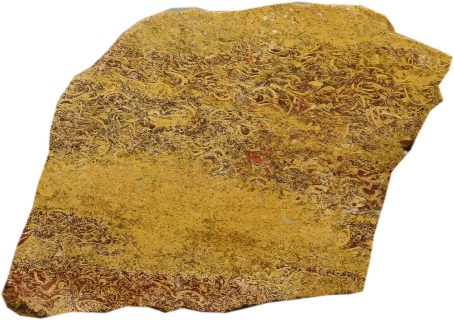Mariam Jasper Natural Rough Stone 100gm+ For Reiki, Healing Aura Cleaning, Tumbling, Vastu, Meditation, Gardening, Decoration & Remove Negative Energy (Raw)   Brand : Rocksmins