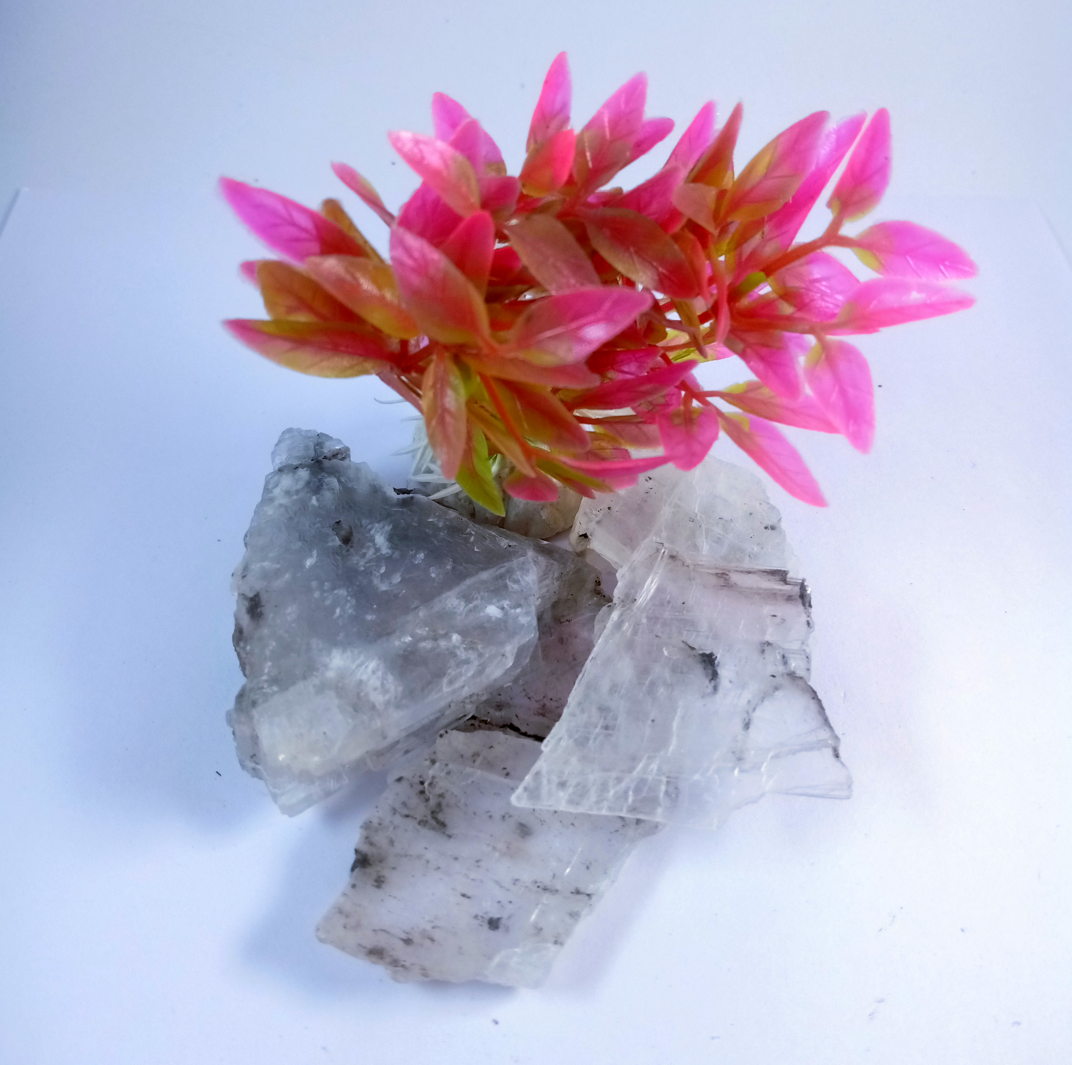 Selenite flat Natural Rough Stone 100gm+ For Reiki, Healing Aura Cleaning, Tumbling, Vastu, Meditation, Gardening, Decoration & Remove Negative Energy (Raw)   Brand : Rocksmins