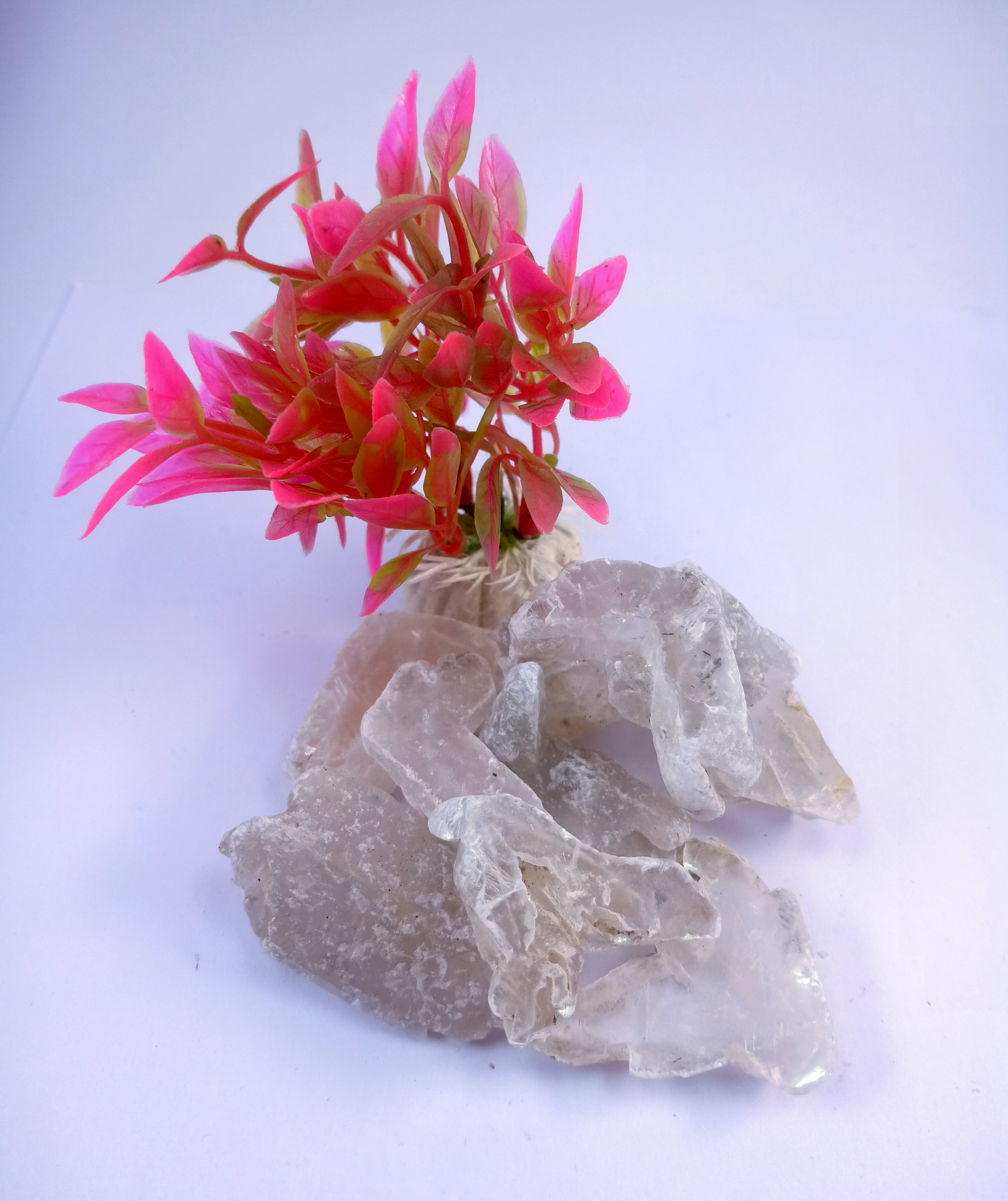 Selenite Natural Rough Stone 100gm+ For Reiki, Healing Aura Cleaning, Tumbling, Vastu, Meditation, Gardening, Decoration & Remove Negative Energy (Raw)   Brand : Rocksmins