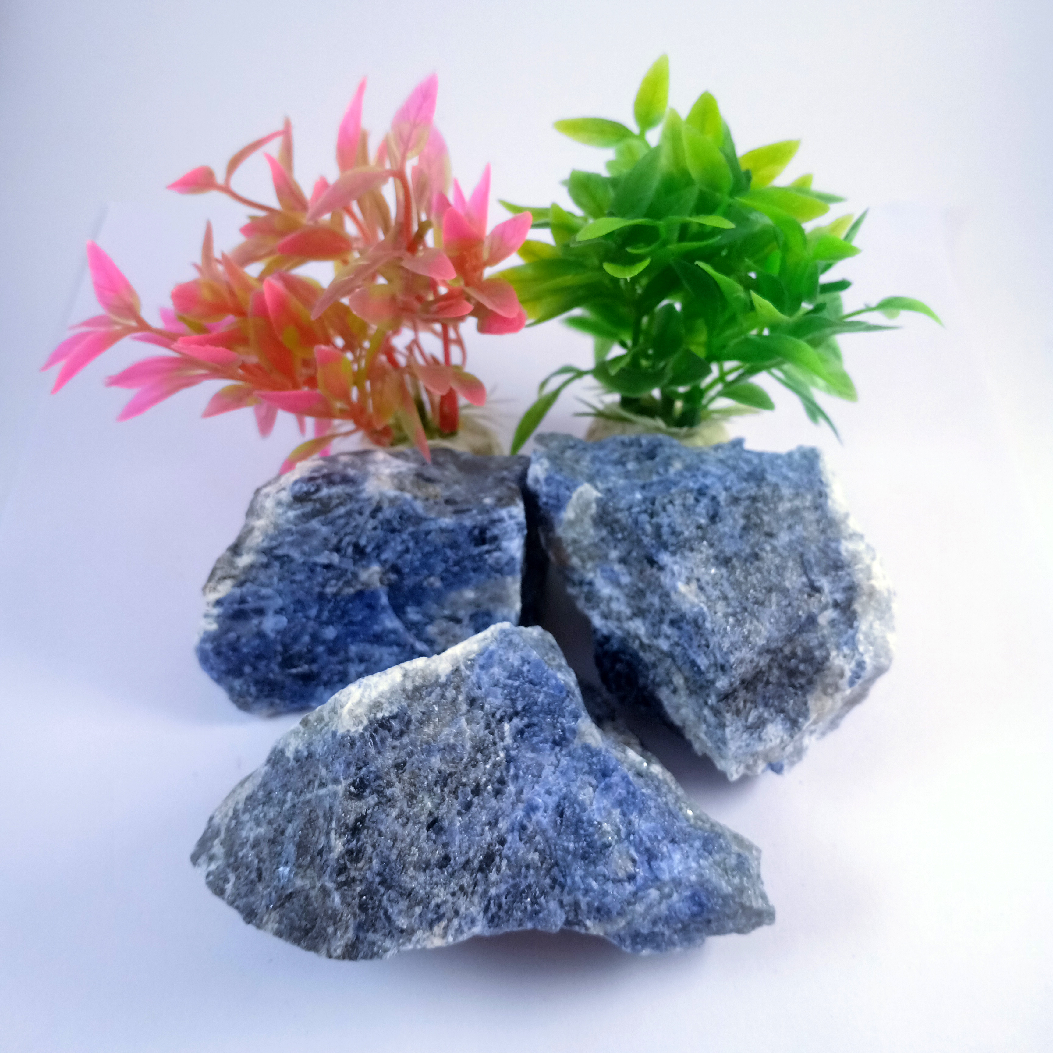 Sodalite Natural Rough Stone 100gm+ For Reiki, Healing Aura Cleaning, Tumbling, Vastu, Meditation, Gardening, Decoration & Remove Negative Energy (Raw)   Brand : Rocksmins