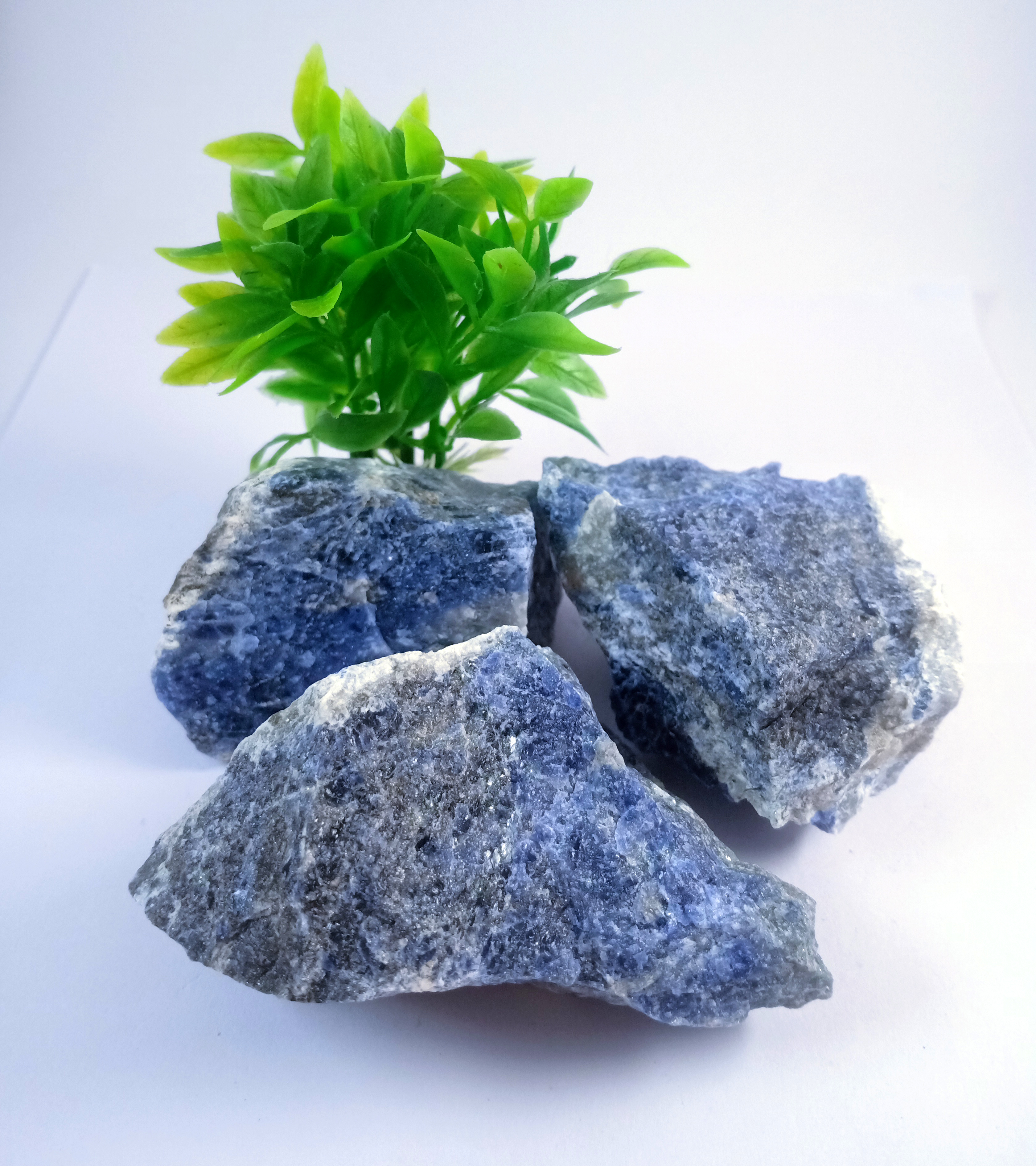 Sodalite Natural Rough Stone 100gm+ For Reiki, Healing Aura Cleaning, Tumbling, Vastu, Meditation, Gardening, Decoration & Remove Negative Energy (Raw)   Brand : Rocksmins