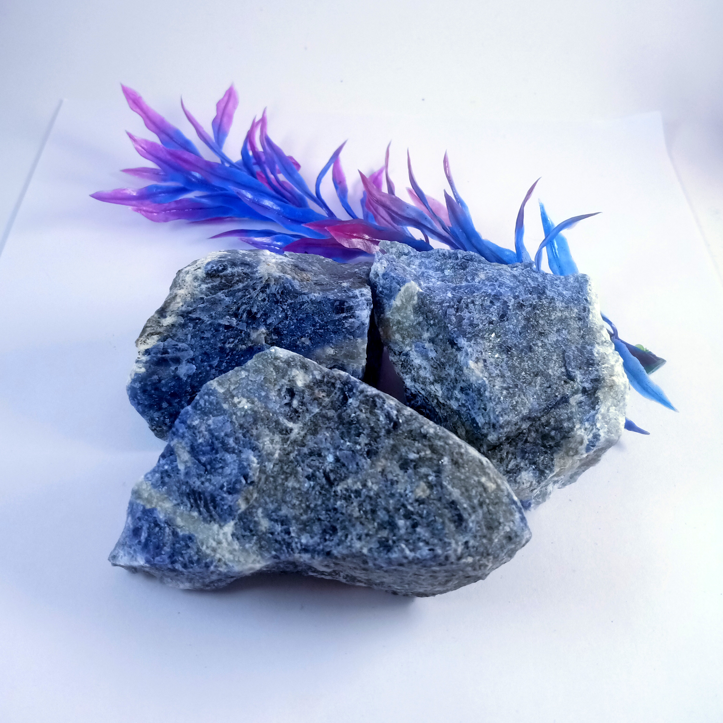 Sodalite Natural Rough Stone 100gm+ For Reiki, Healing Aura Cleaning, Tumbling, Vastu, Meditation, Gardening, Decoration & Remove Negative Energy (Raw)   Brand : Rocksmins