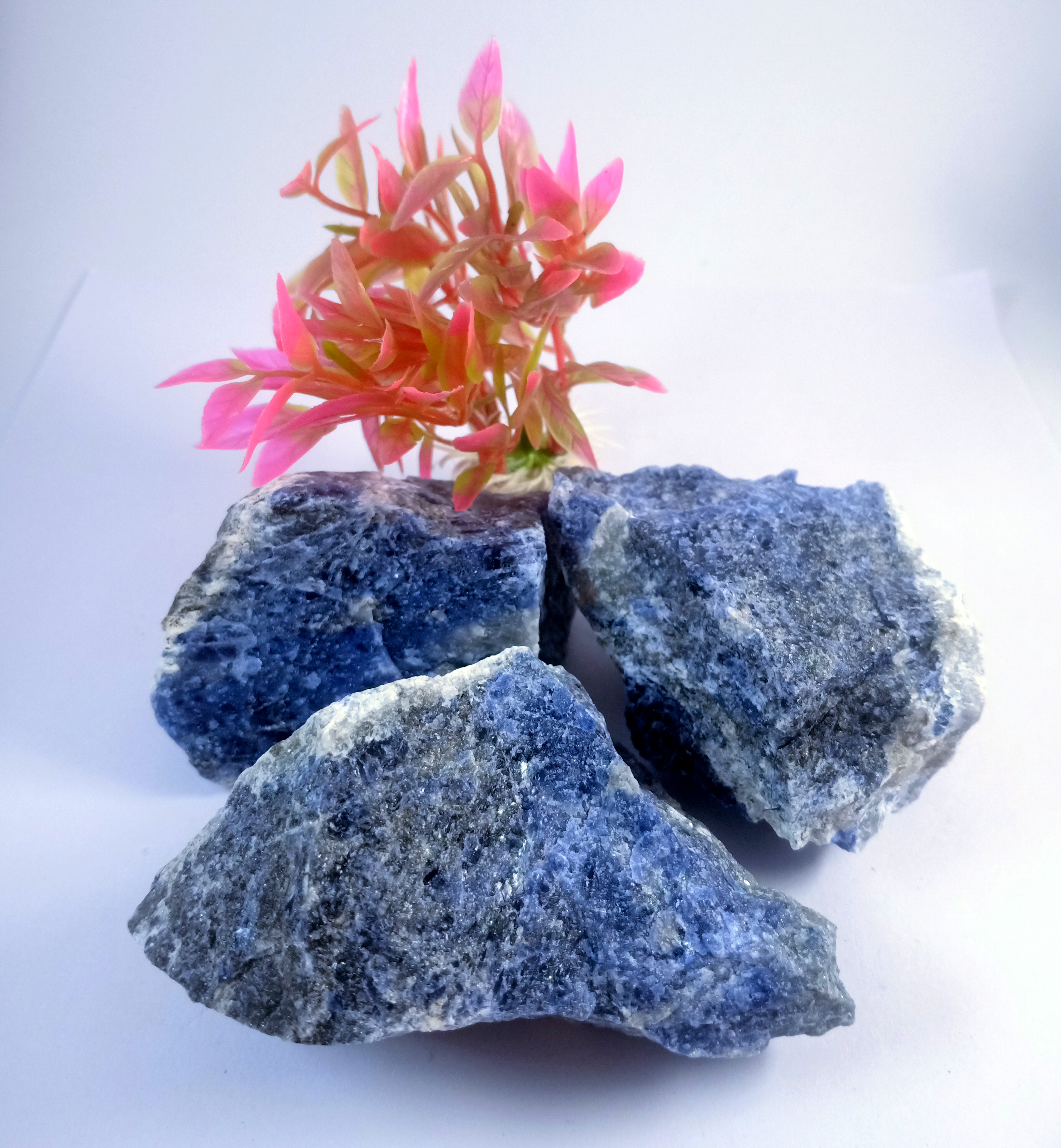 Sodalite Natural Rough Stone 100gm+ For Reiki, Healing Aura Cleaning, Tumbling, Vastu, Meditation, Gardening, Decoration & Remove Negative Energy (Raw)   Brand : Rocksmins