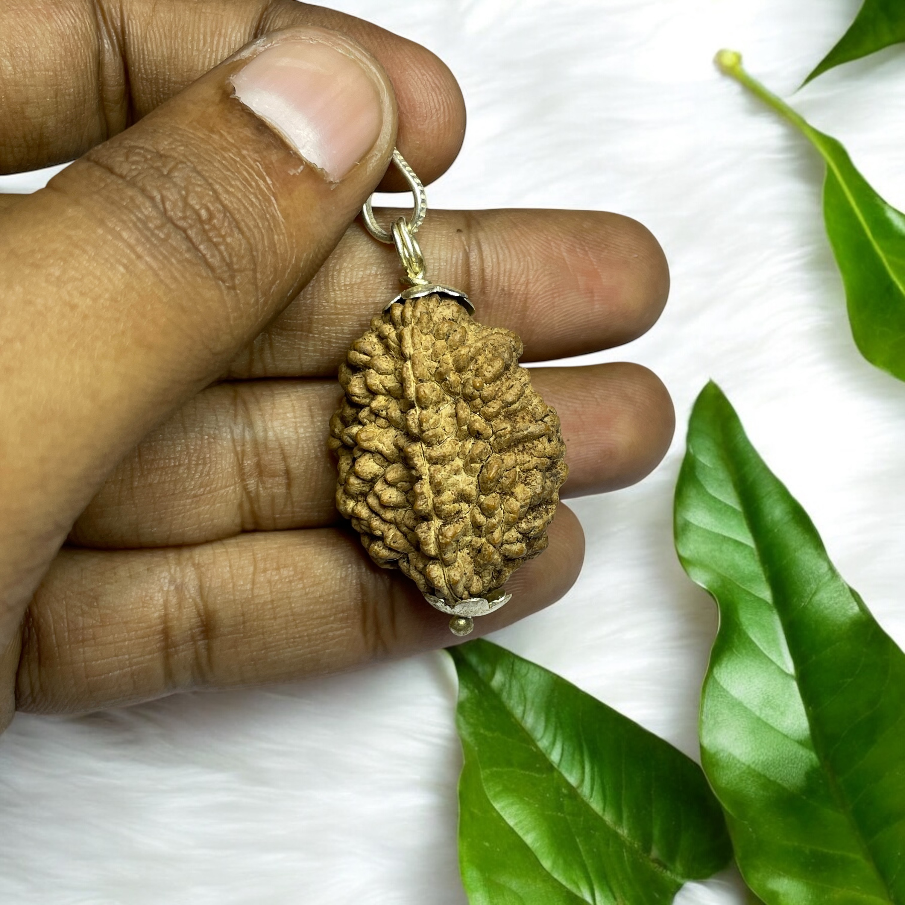 2 Mukhi Big Rudraksha Pendant for Wearing in Neck Pooja, Astrology/Men Women Boys Girls Meditation, Balance, Protection and Divine Energy Brand : @Rocksmins