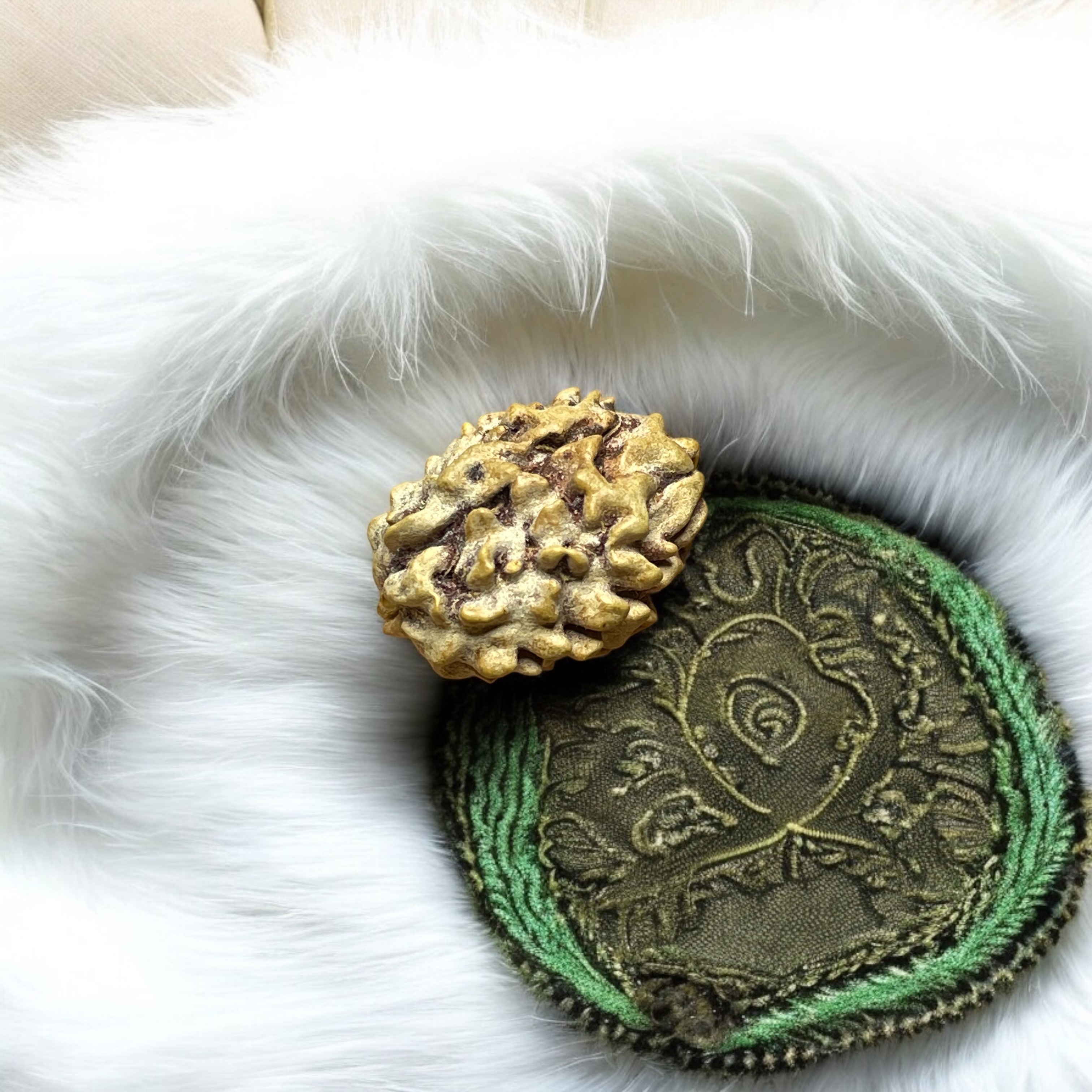 2-mukhi-rudraksha-for-wearing-in-neck-pooja-astrologymen-women-boys-girls-meditation-balance-protection-and-divine-energy-brand--rocksmins