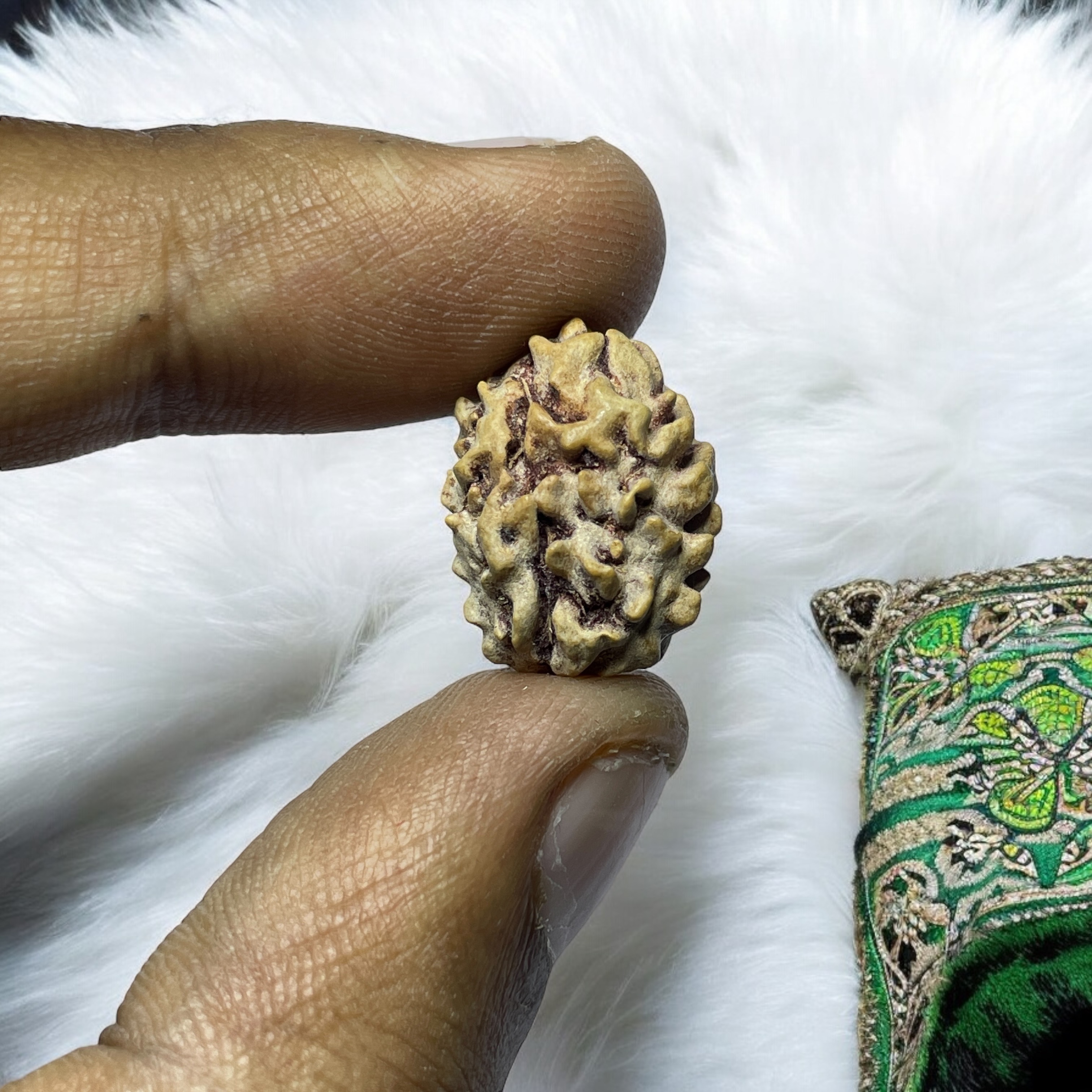 2 Mukhi Rudraksha for Wearing in Neck Pooja, Astrology/Men Women Boys Girls Meditation, Balance, Protection and Divine Energy Brand : @Rocksmins