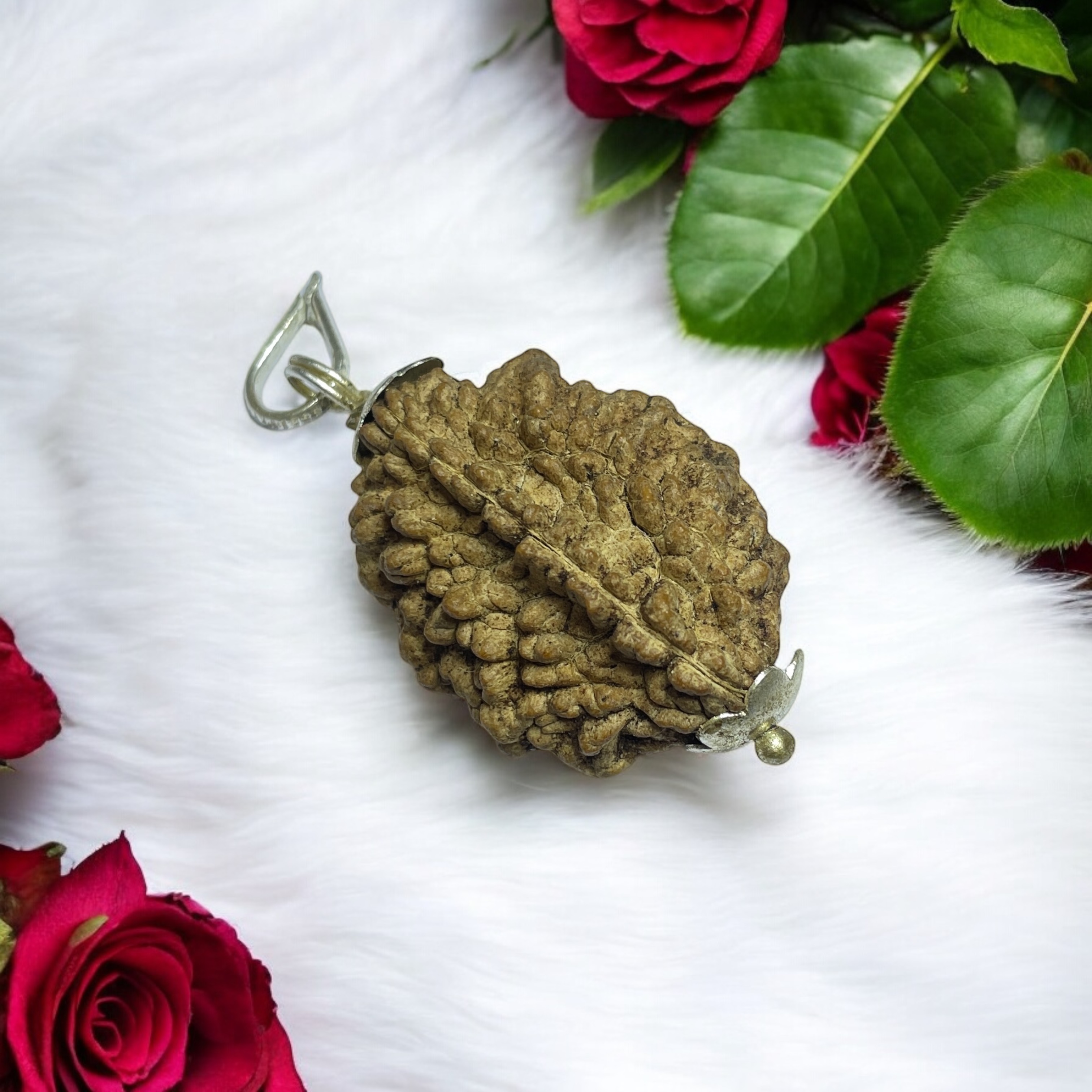 2 Mukhi Big Rudraksha Pendant for Wearing in Neck Pooja, Astrology/Men Women Boys Girls Meditation, Balance, Protection and Divine Energy Brand : @Rocksmins