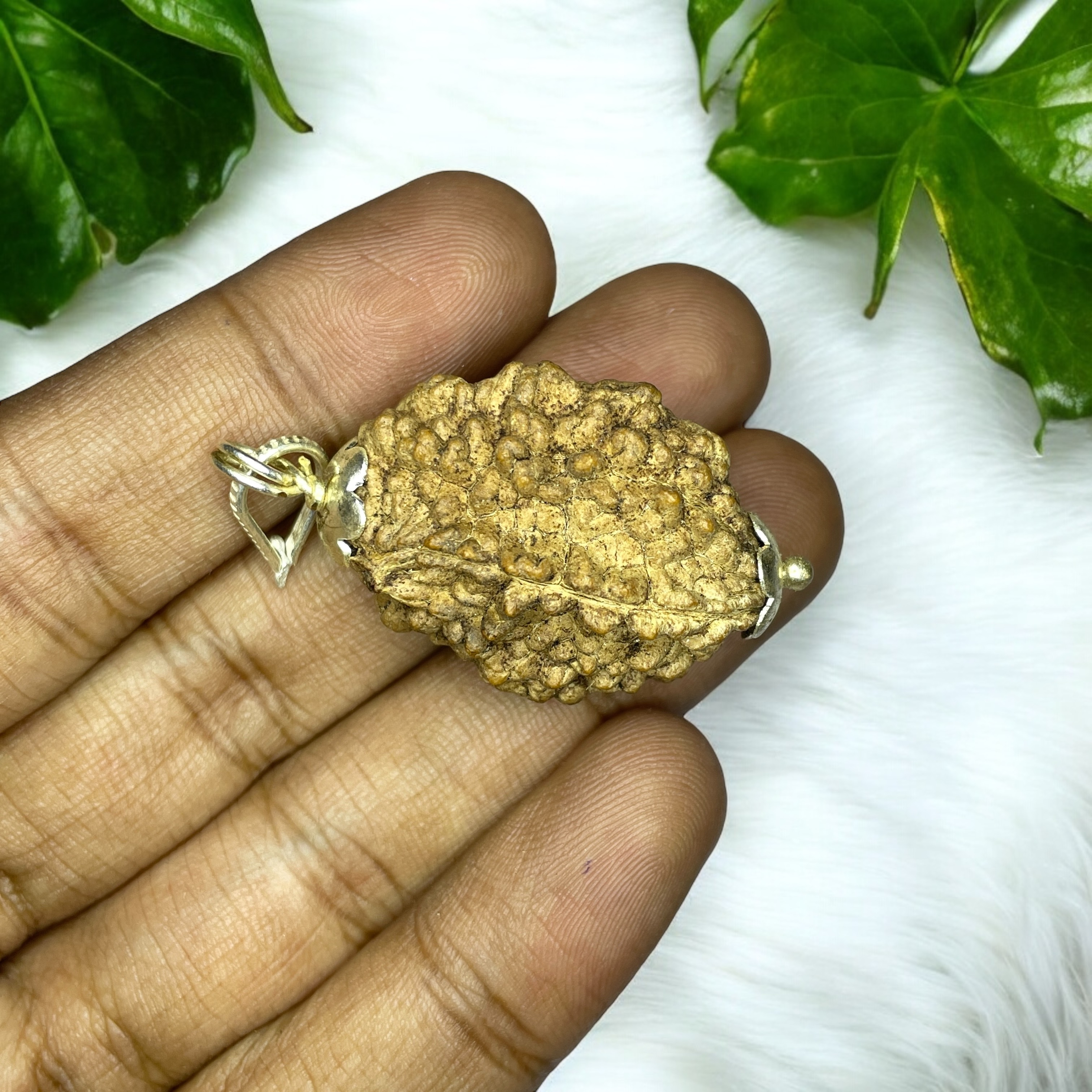 2 Mukhi Big Rudraksha Pendant for Wearing in Neck Pooja, Astrology/Men Women Boys Girls Meditation, Balance, Protection and Divine Energy Brand : @Rocksmins