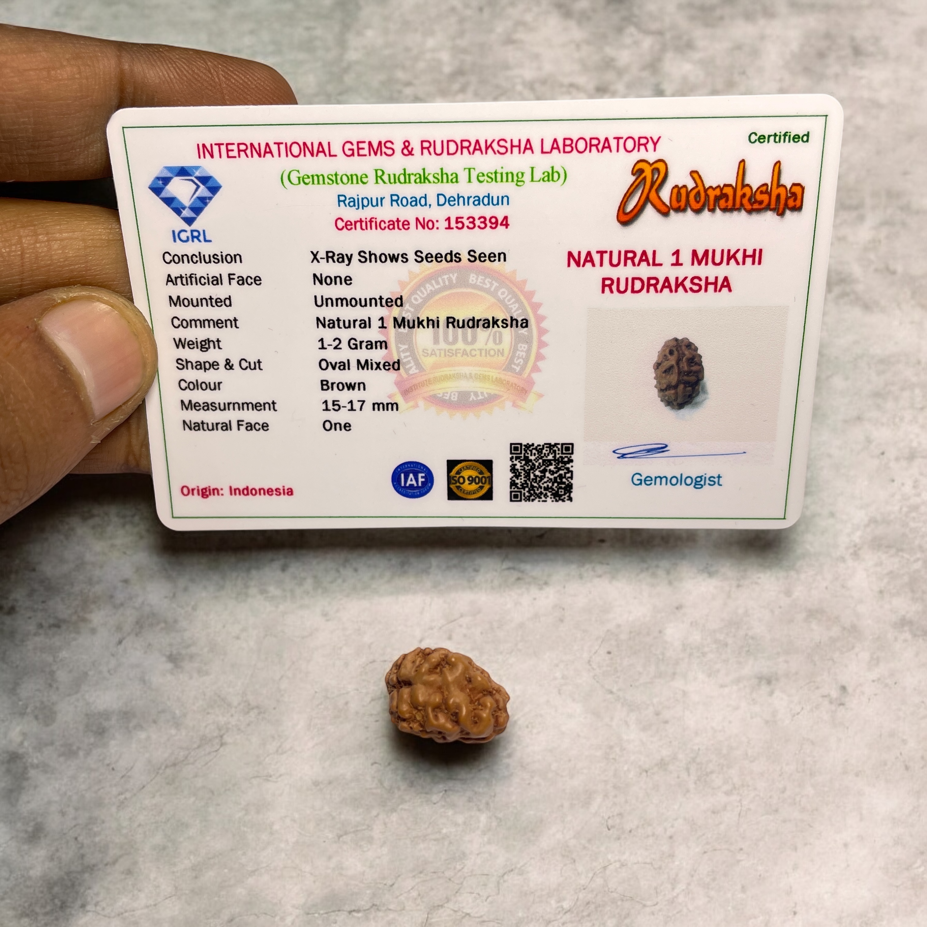 1 Mukhi Small Rudraksha Pendant for Wearing in Neck Pooja, Astrology/Men Women Boys Girls Meditation, Balance, Protection and Divine Energy Brand : @Rocksmins