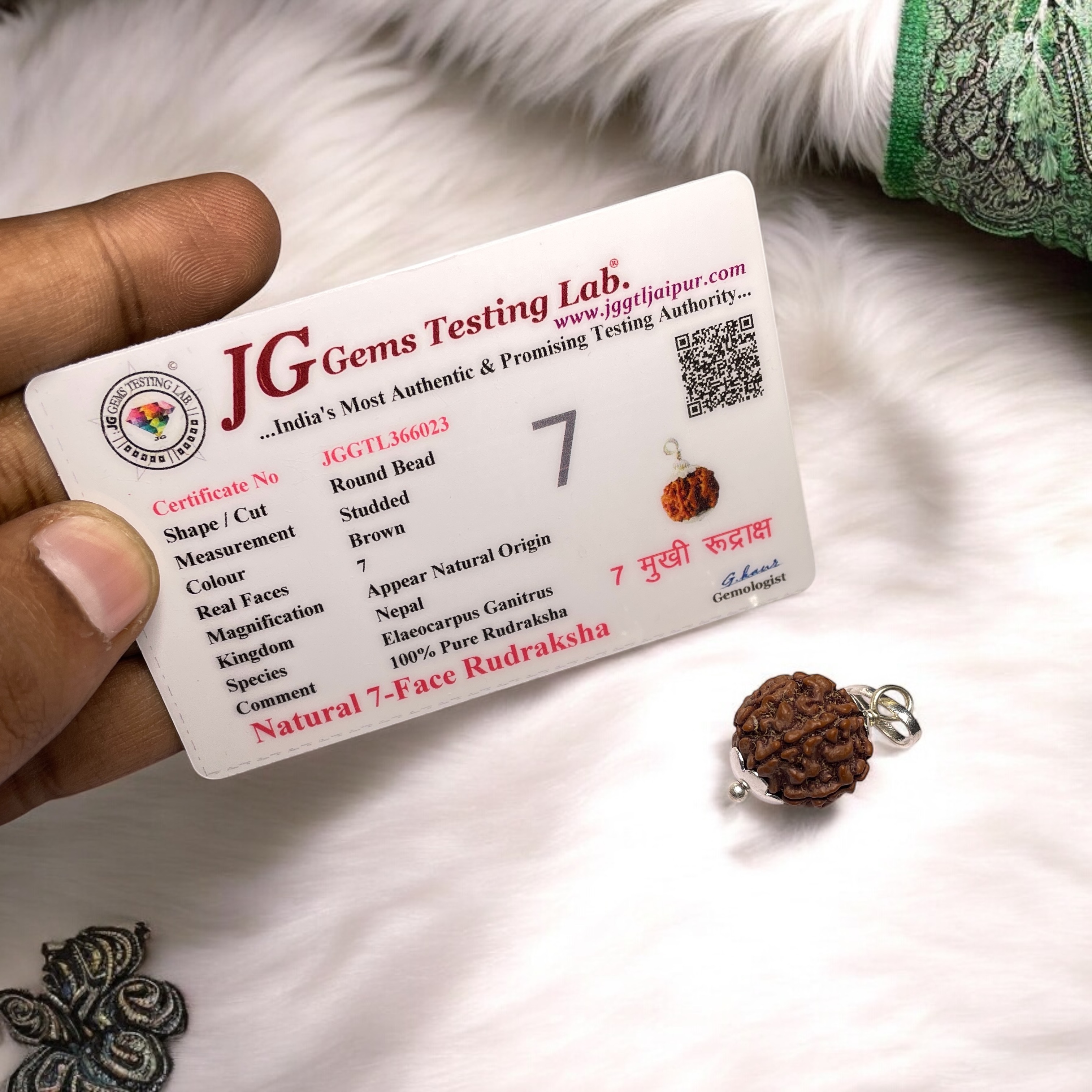 7 Mukhi Rudraksha Pendant for Wearing in Neck Pooja, Astrology/Men Women Boys Girls Meditation, Balance, Protection and Divine Energy Brand : @Rocksmins