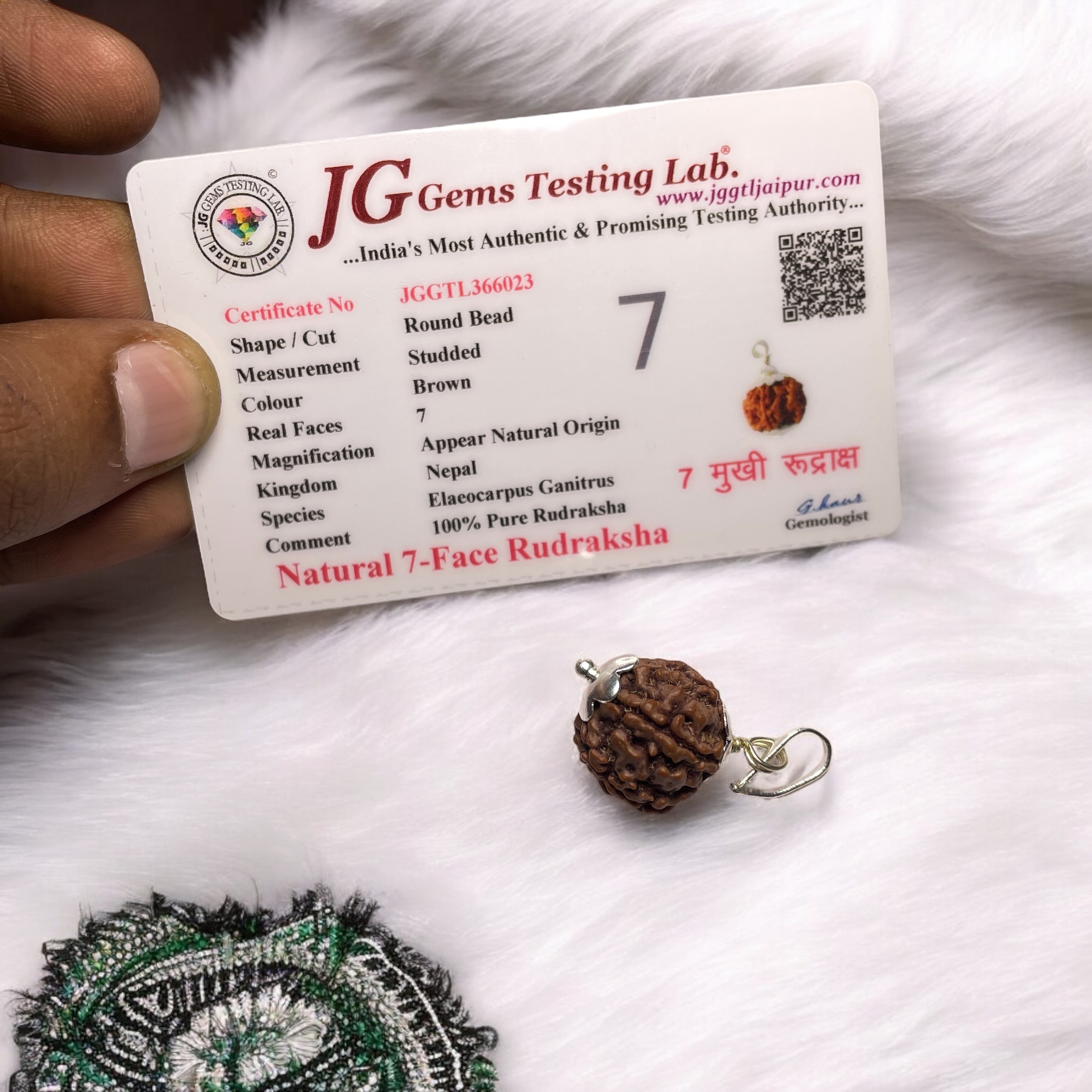 7 Mukhi Rudraksha Pendant for Wearing in Neck Pooja, Astrology/Men Women Boys Girls Meditation, Balance, Protection and Divine Energy Brand : @Rocksmins