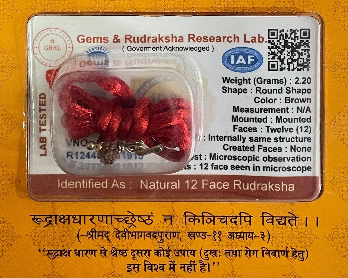 12 Mukhi Rudraksha Pendant for Wearing in Neck Pooja, Astrology/Men Women Boys Girls Meditation, Balance, Protection and Divine Energy Brand : @Rocksmins