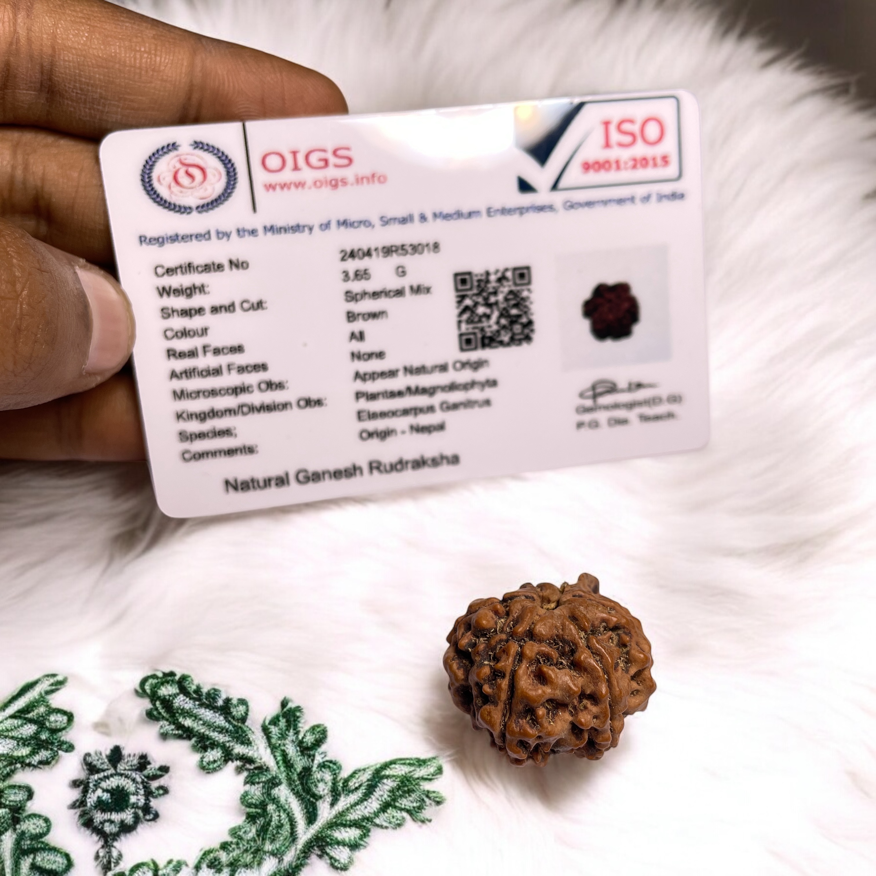 Ganesh Rudraksha for Wearing in Neck Pooja, Astrology/Men Women Boys Girls Meditation, Balance, Protection and Divine Energy Brand : @Rocksmins