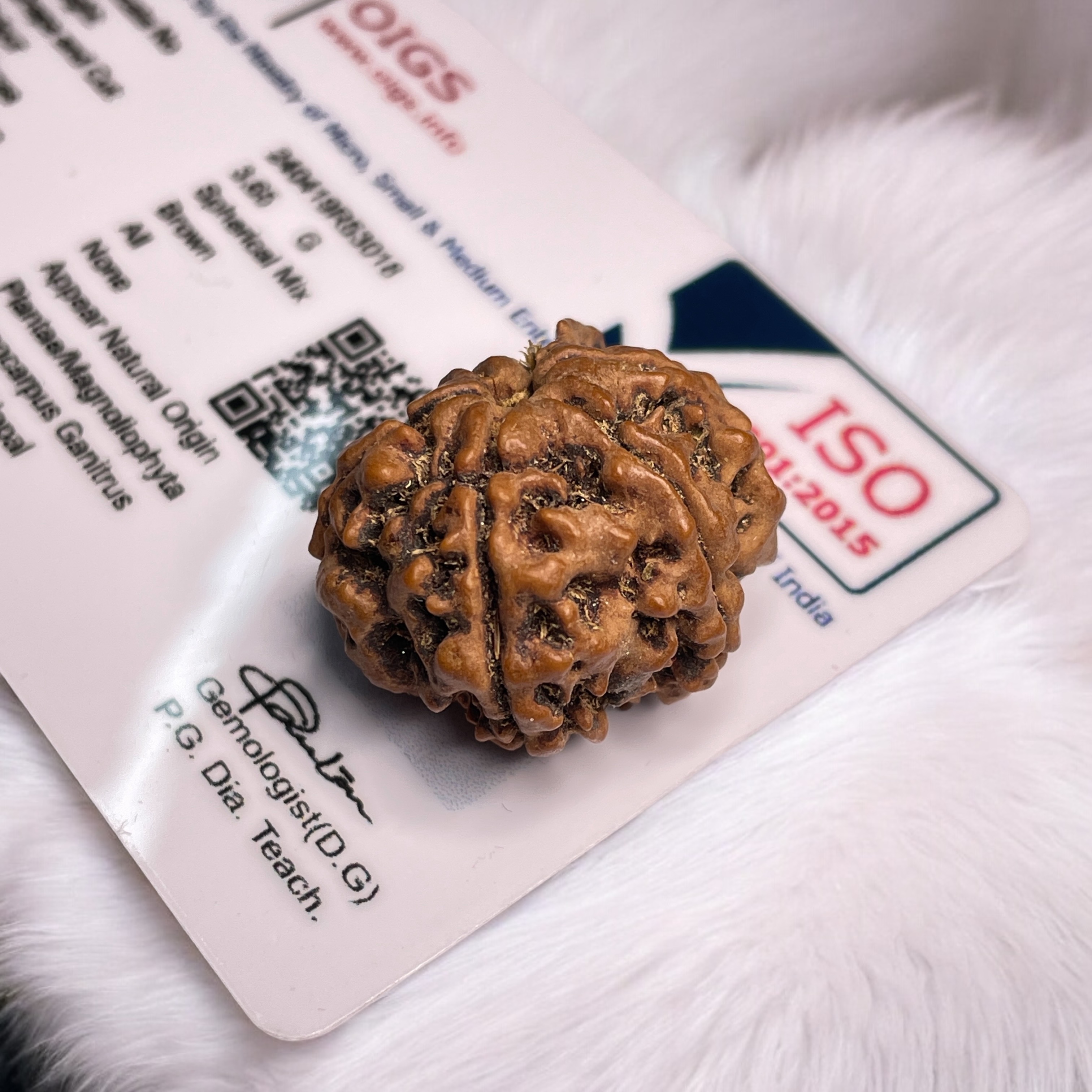 Ganesh Rudraksha for Wearing in Neck Pooja, Astrology/Men Women Boys Girls Meditation, Balance, Protection and Divine Energy Brand : @Rocksmins