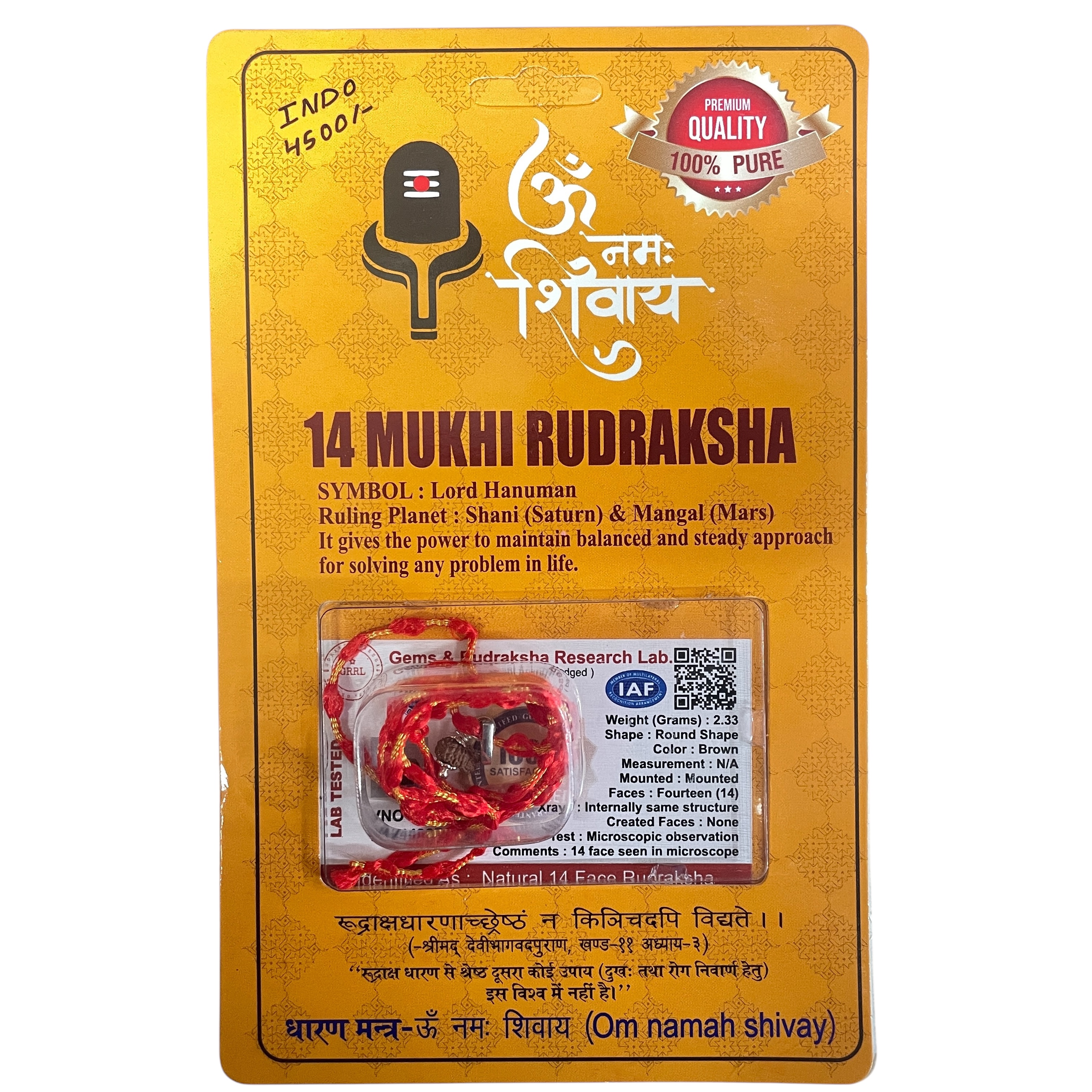 14 Mukhi Rudraksha Pendant for Wearing in Neck Pooja, Astrology/Men Women Boys Girls Meditation, Balance, Protection and Divine Energy Brand : @Rocksmins